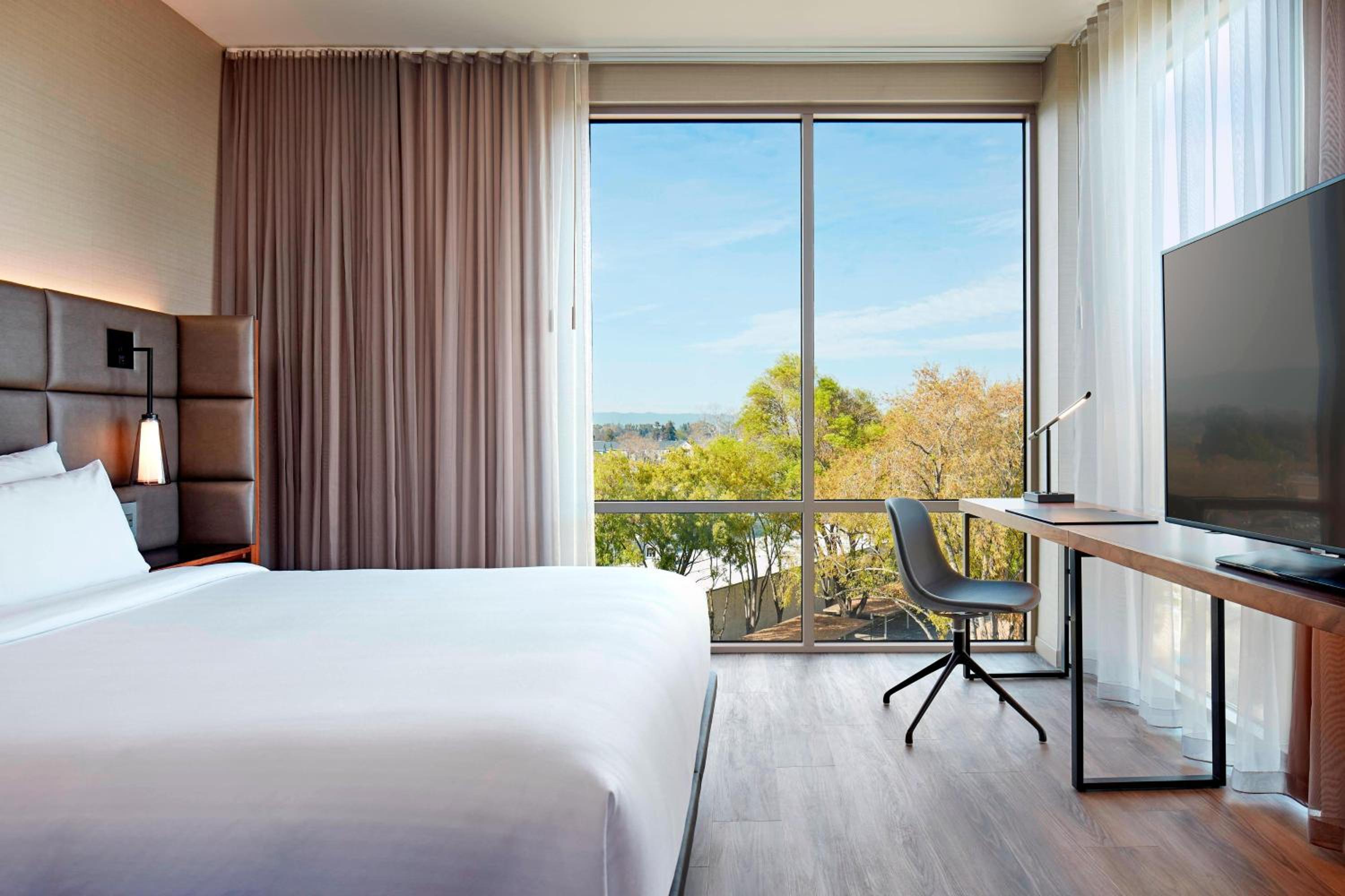 One-Bedroom King Suite with Sofa Bed