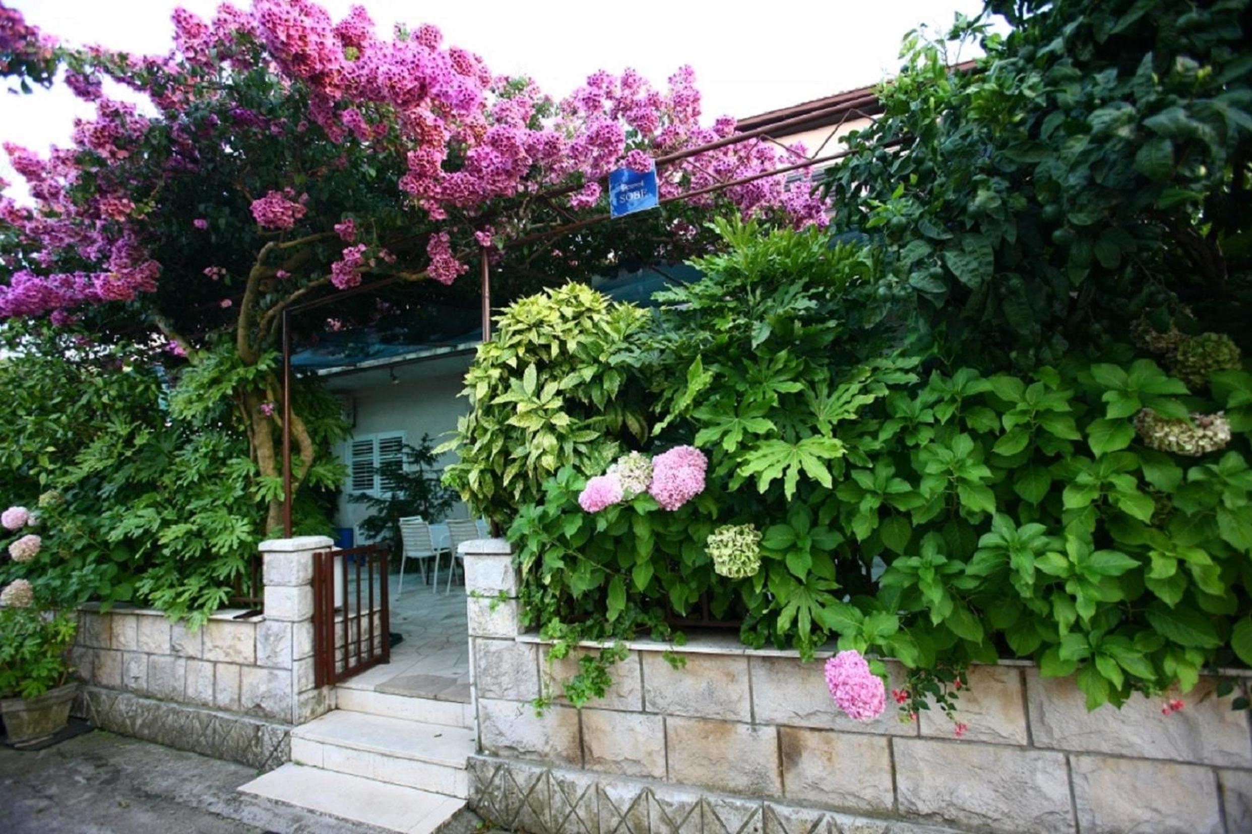 One-Bedroom Apartment with Terrace photo 3