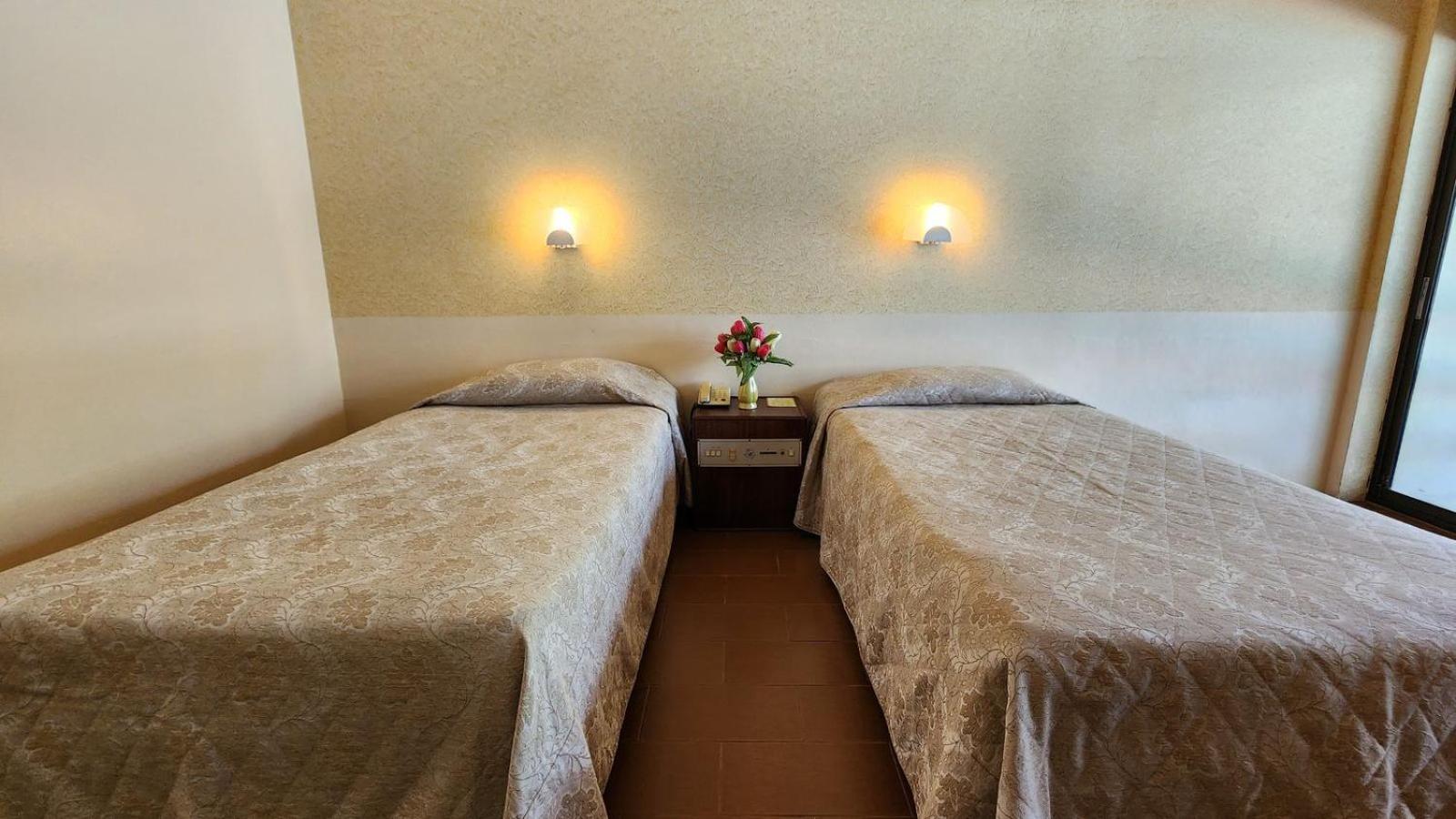 Superior Twin Room with City View photo 2