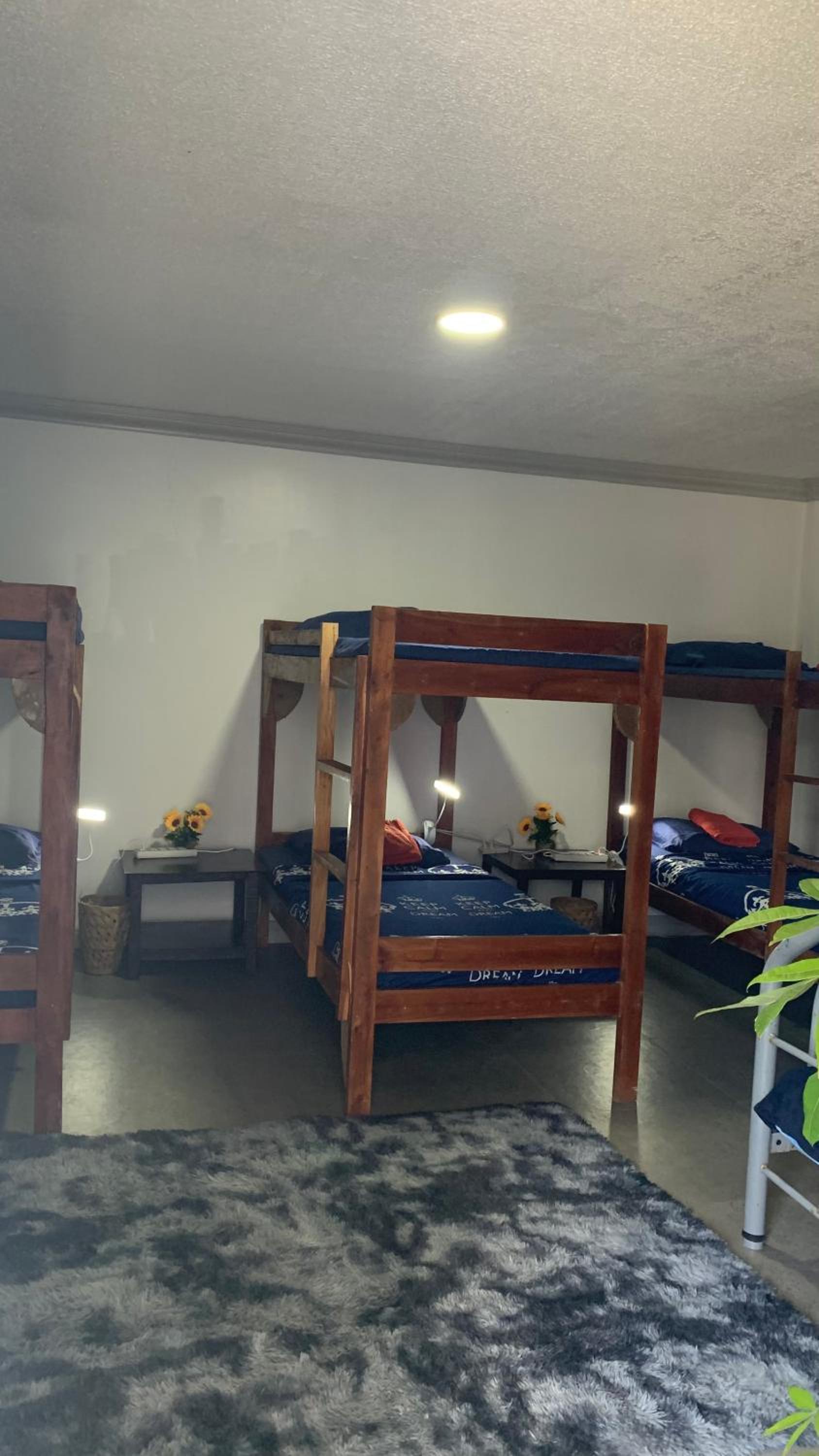 Bed in 10-Bed Mixed Dormitory Room photo 1
