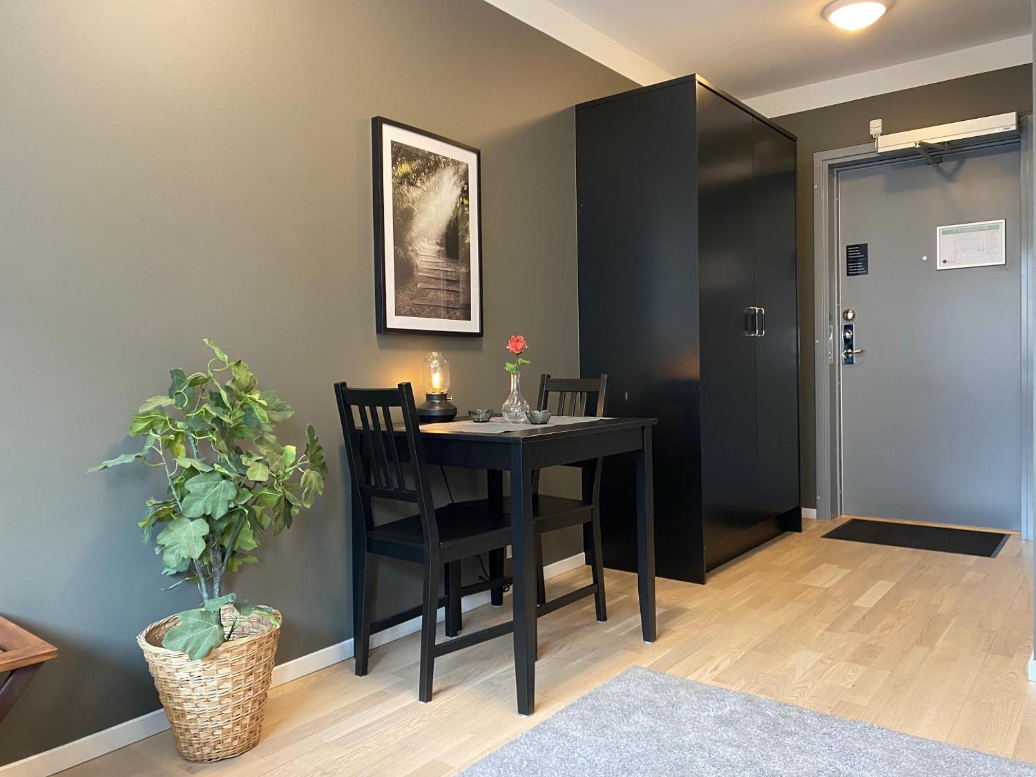 Single Studio - Semi Basement