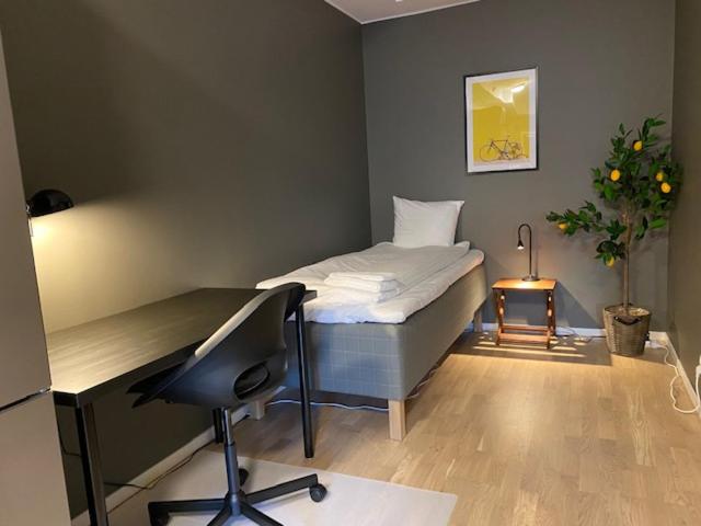 Standard Twin Room photo 3