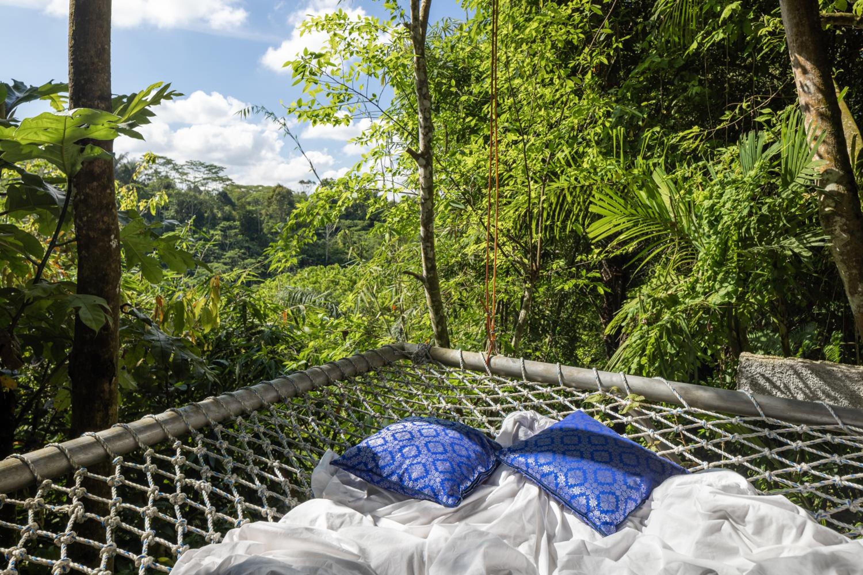 Honeymooner Rain Forest Jungle Suite with Free Mini-bar  - Photo 3