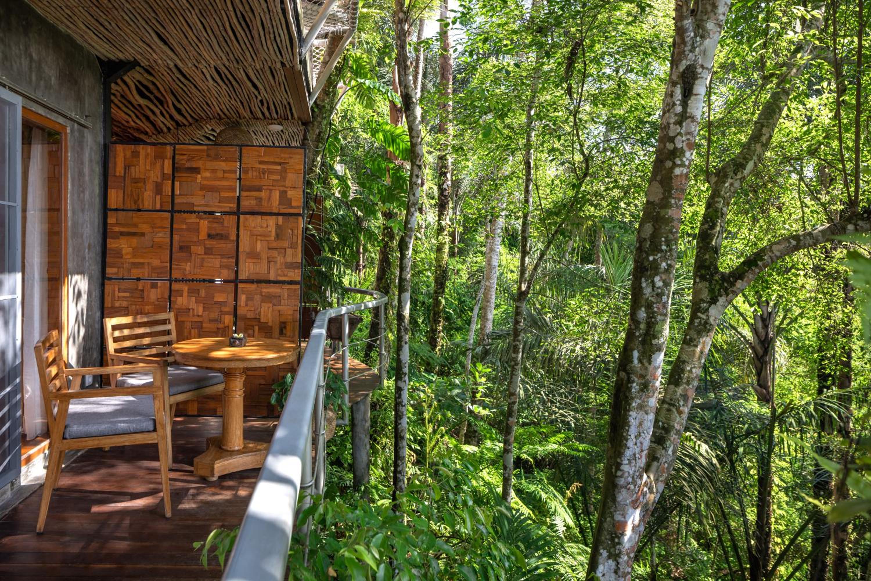 Honeymooner Rain Forest Jungle Suite with Free Mini-bar  - Photo 7