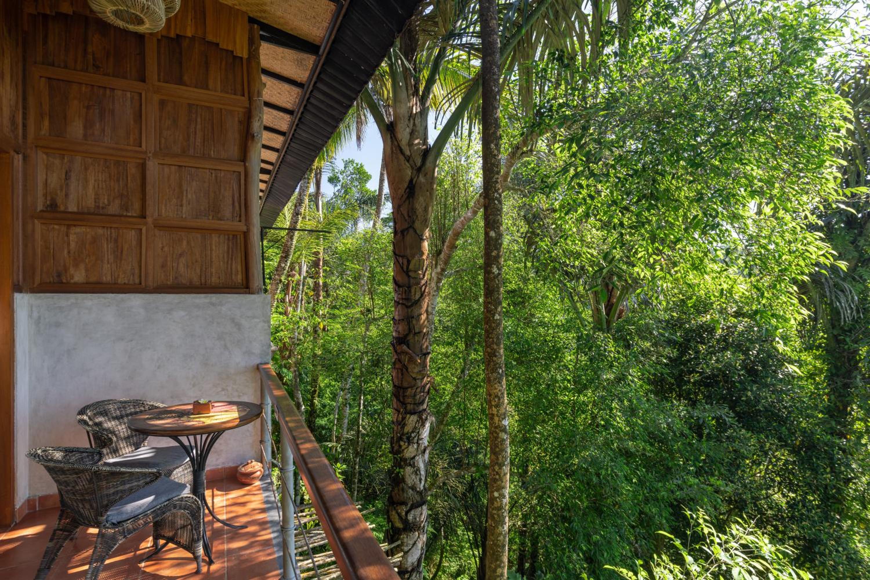 Honeymooner Rain Forest Deluxe with Free Mini-bar  - Photo 6