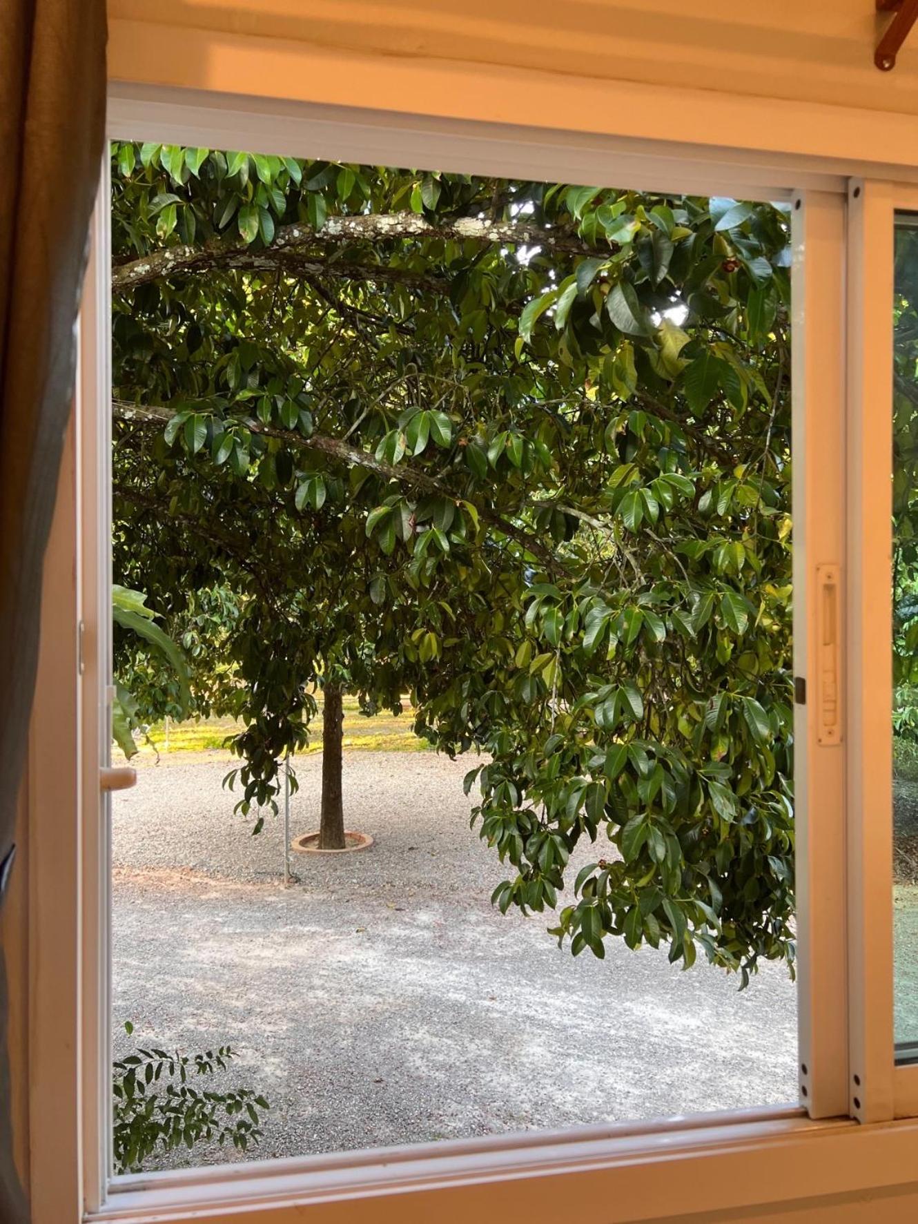 Queen Room with Garden View - Photo 11