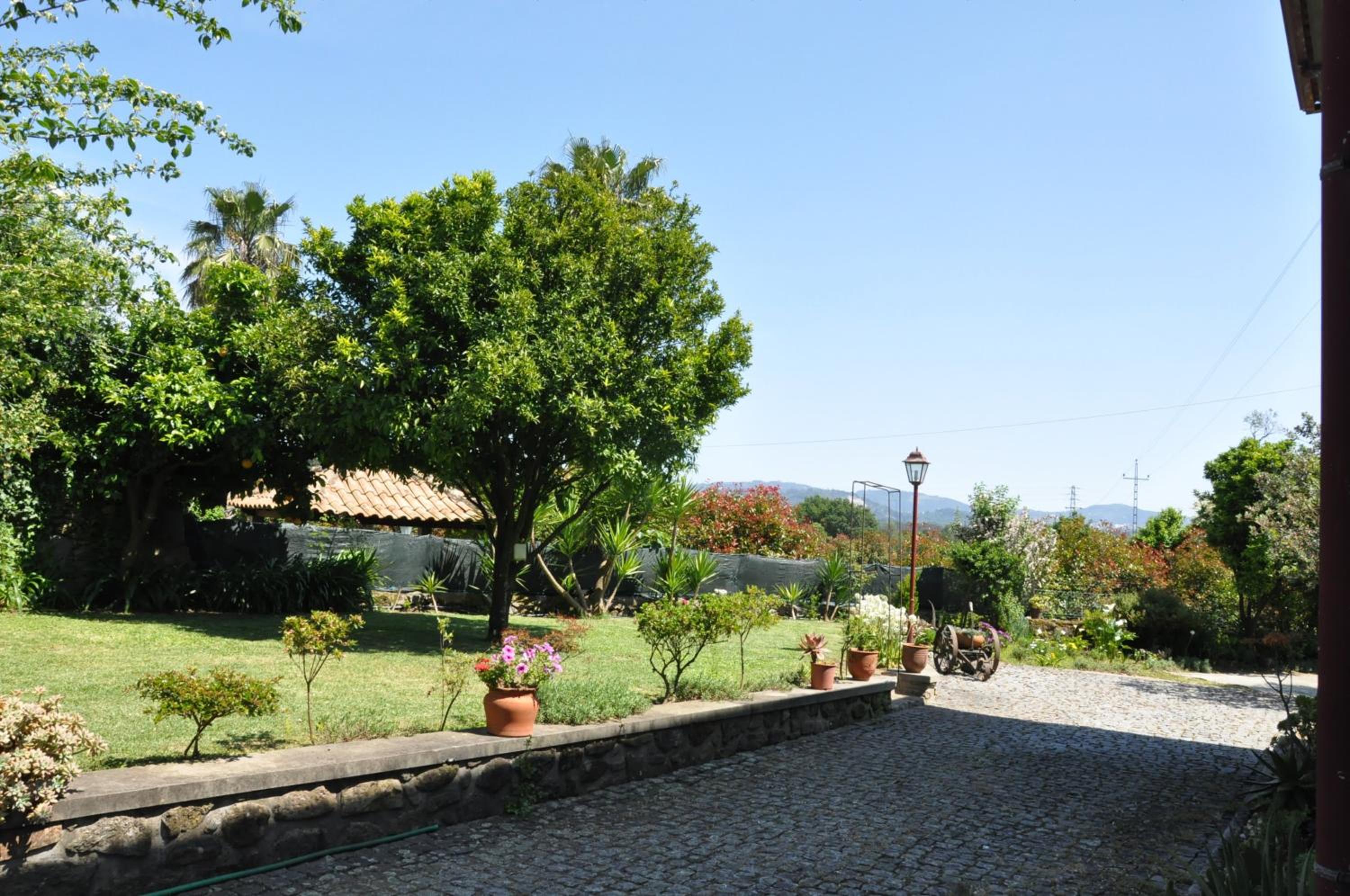 Apartment with Garden View photo 1
