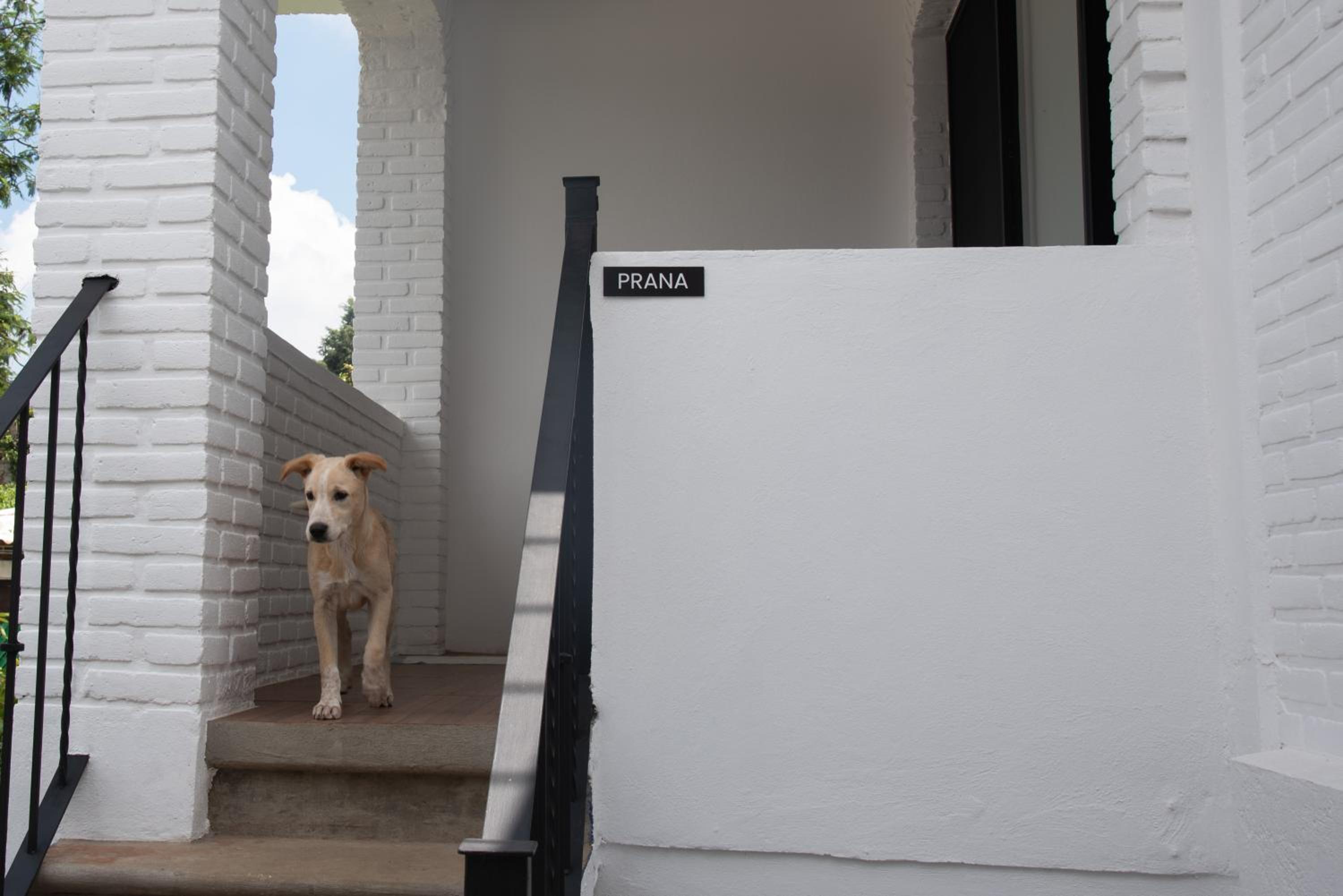 Studio with Terrace photo 3