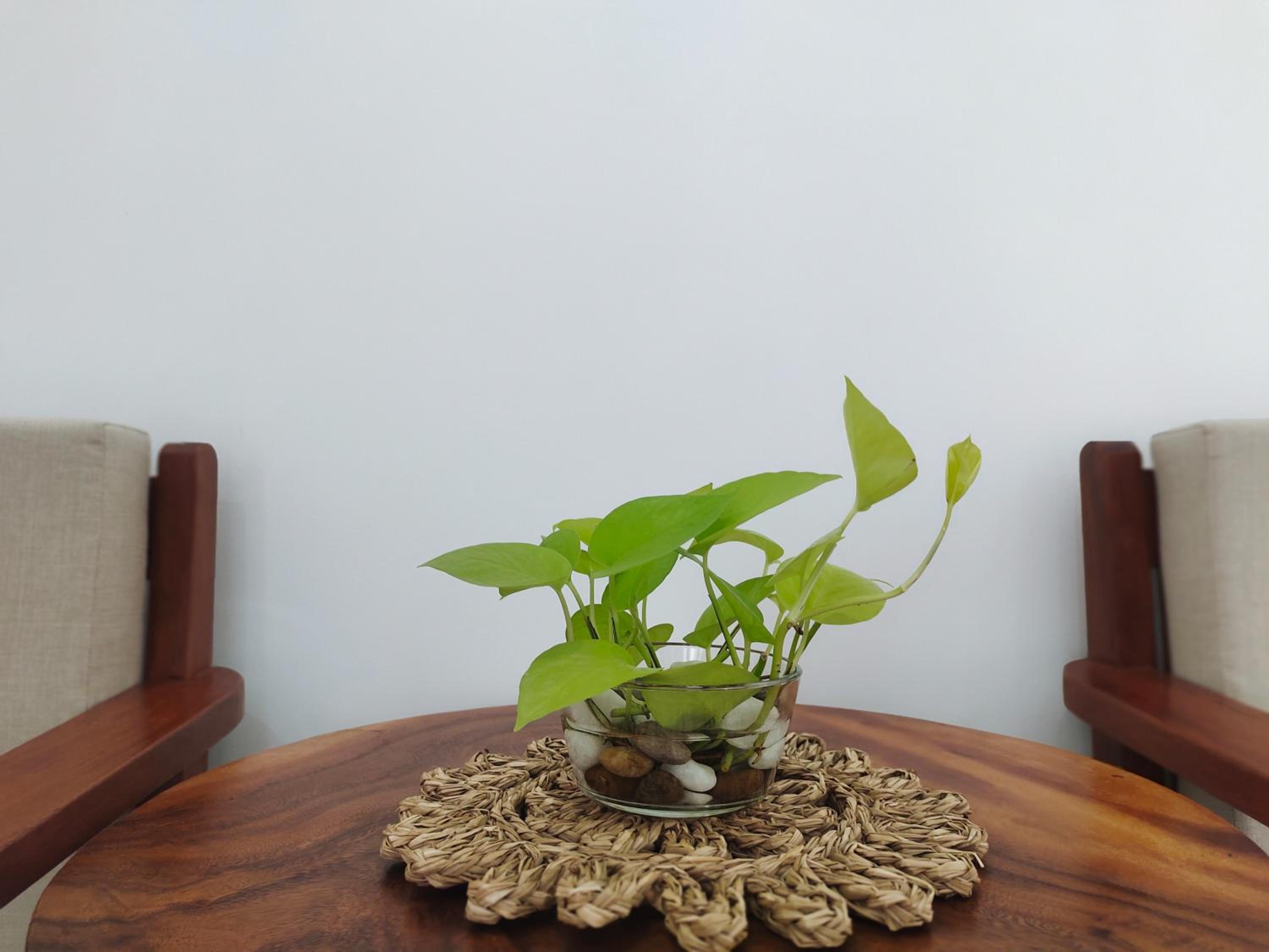 山景大床房