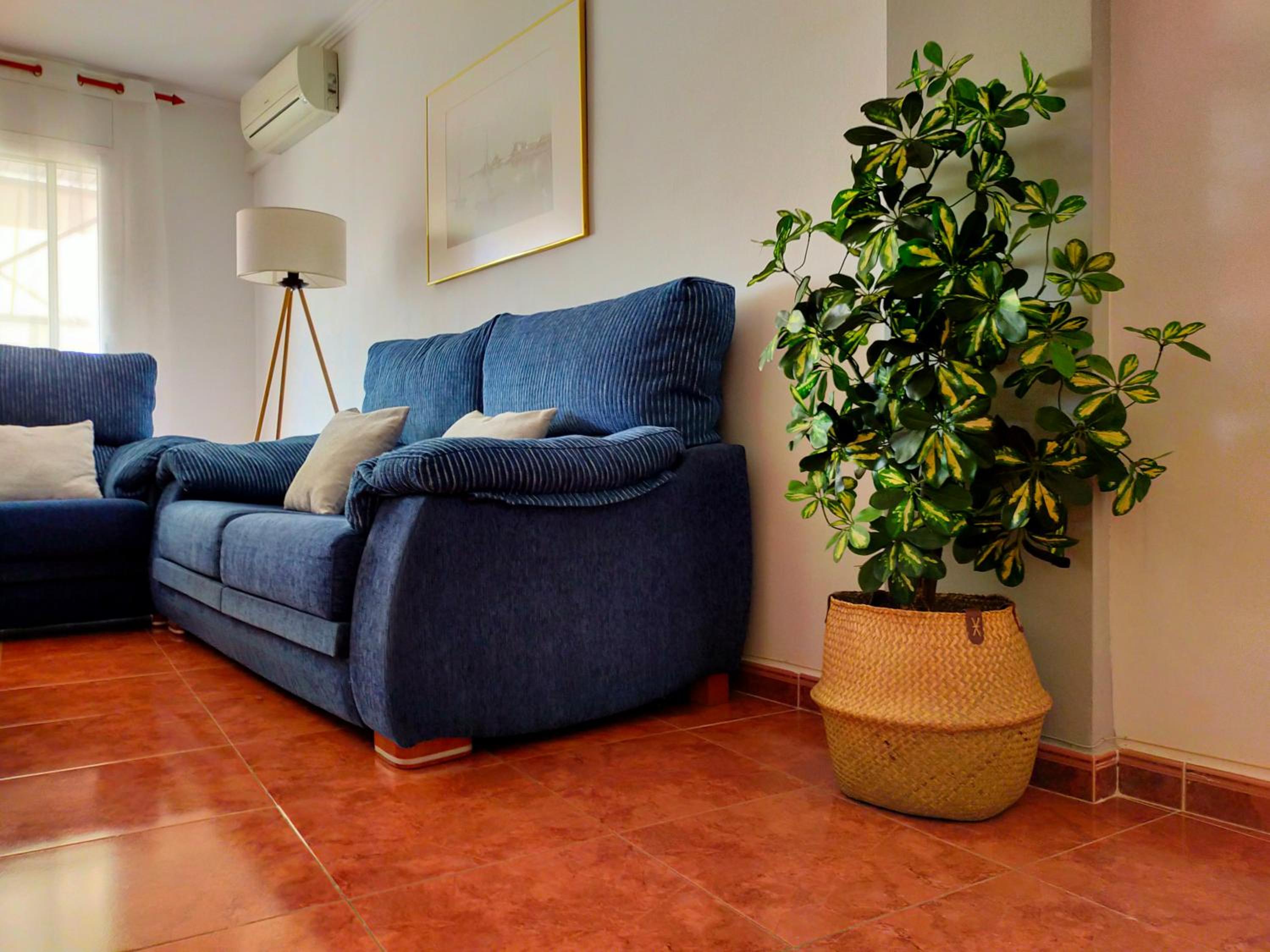Apartamento con Terraza