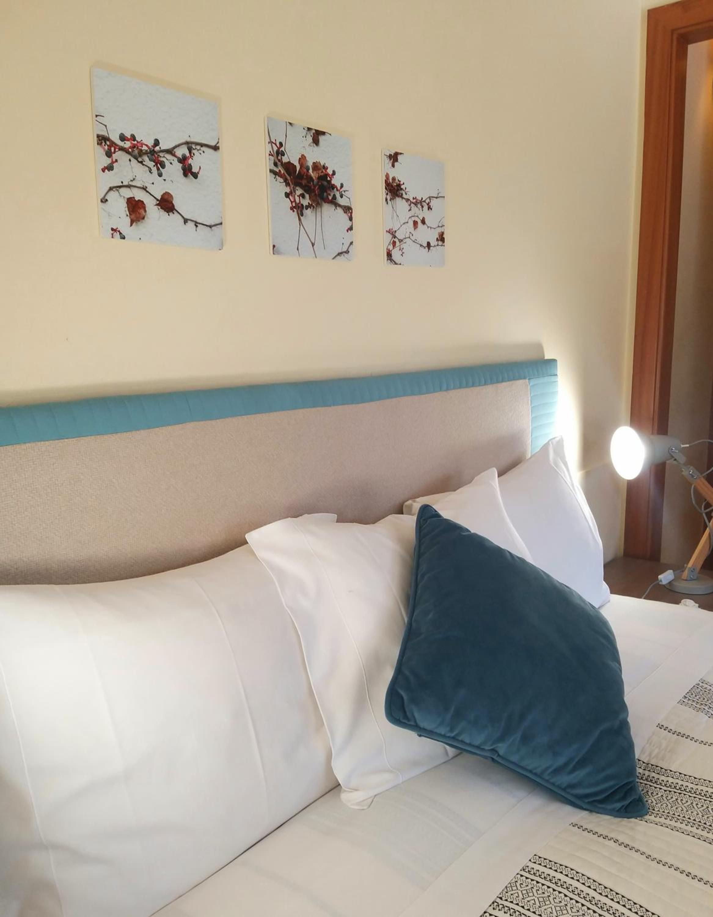 Double or Twin Room with Terrace photo 2