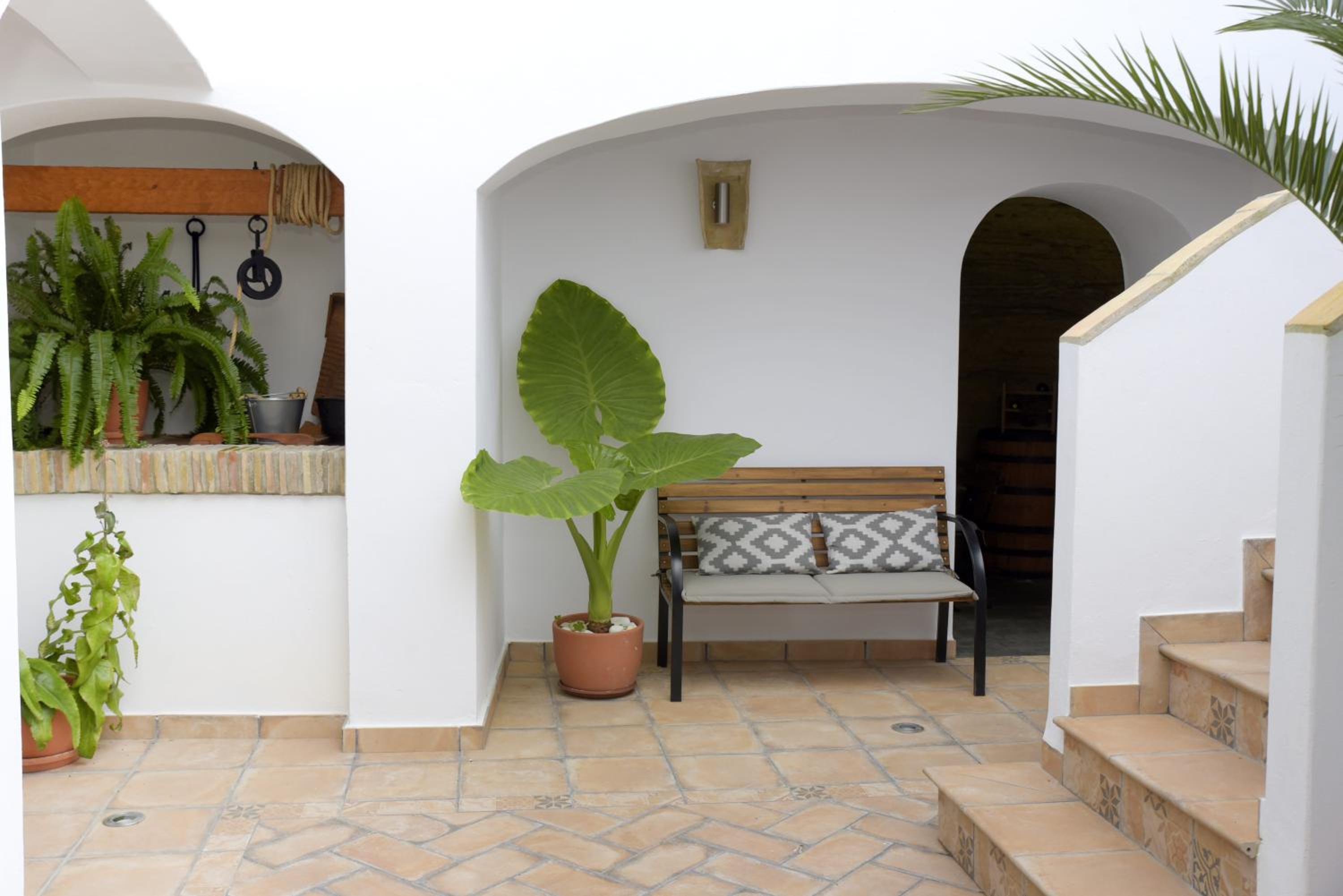 Apartment with Terrace photo 2