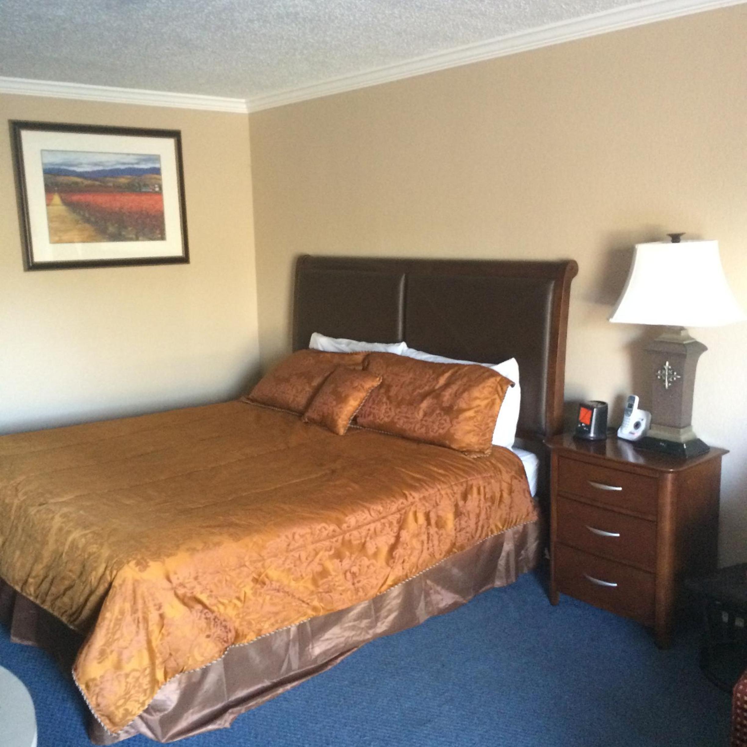 King Suite - Photo 4