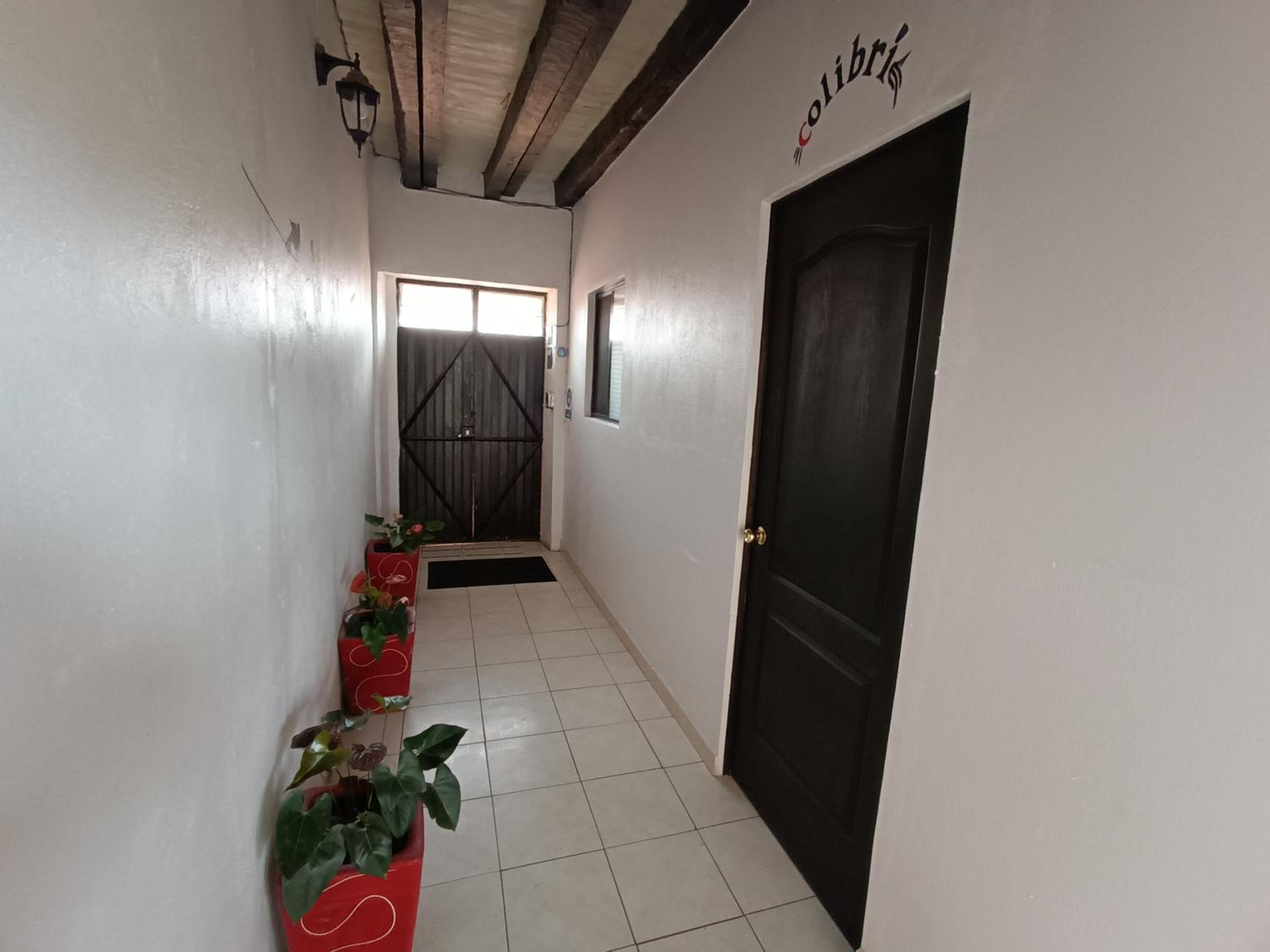 Double or Twin Room photo 1