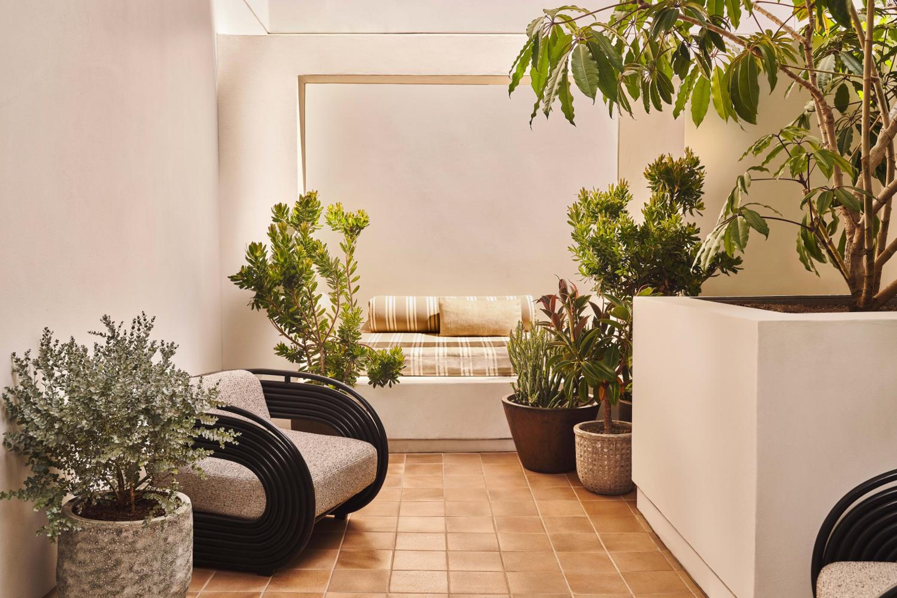 Garden Terrace, Guest room, 1 King
