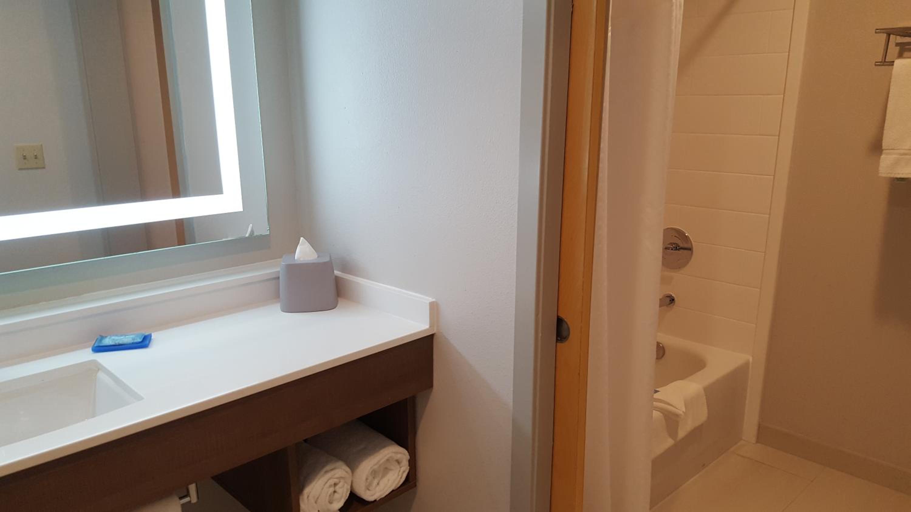 King Suite - Photo 5