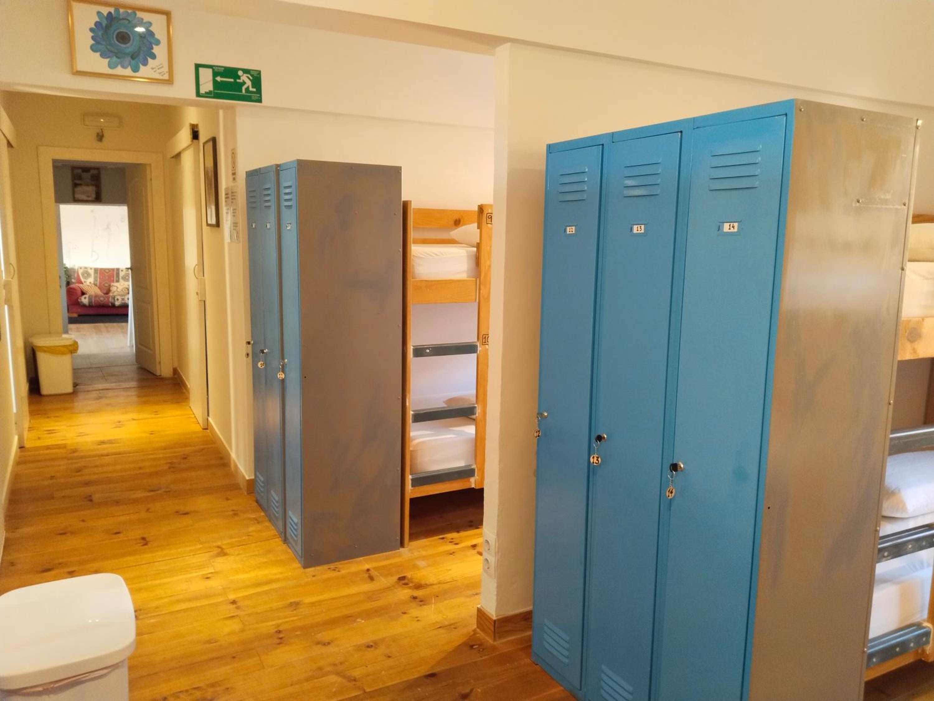 Bunk Bed in Mixed Dormitory Room photo 2