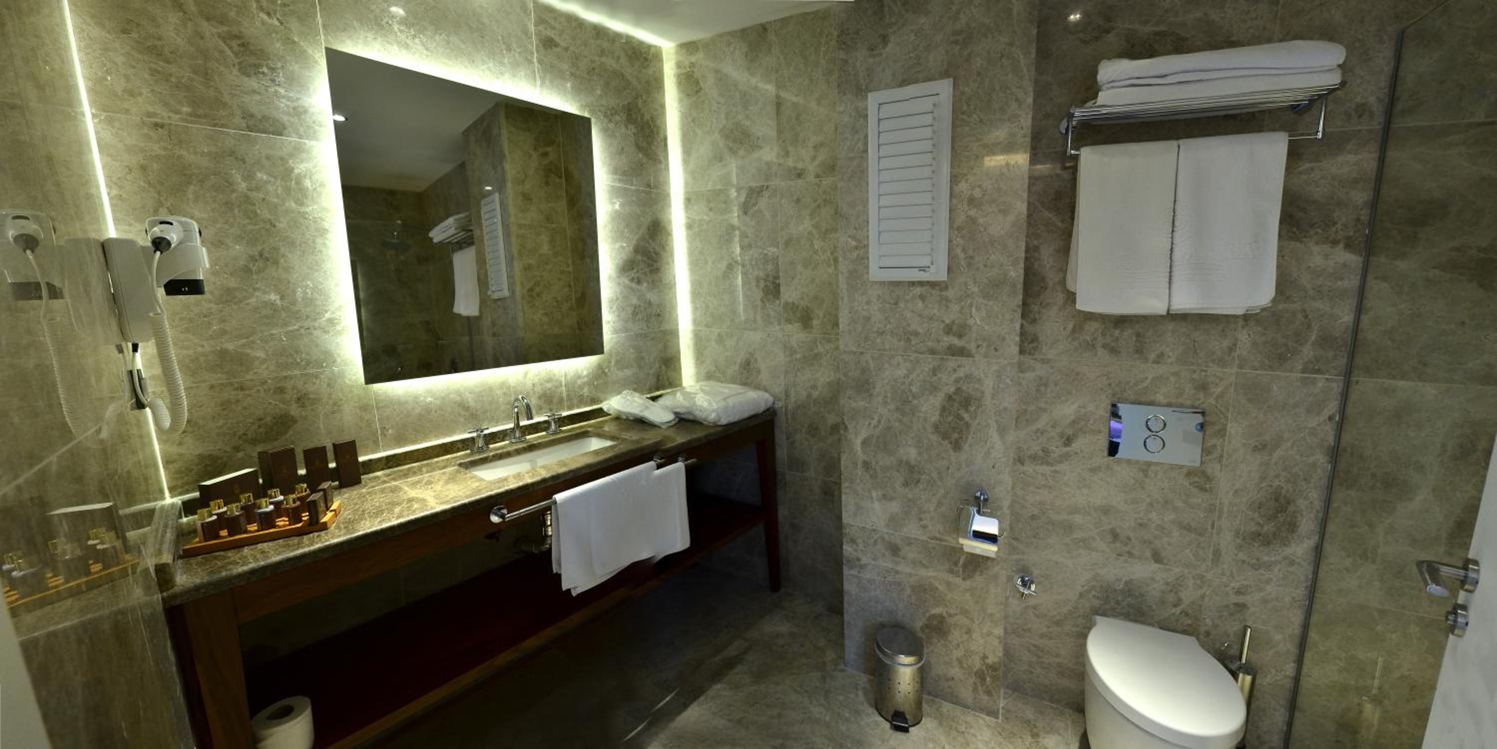 Deluxe Roof Suite photo 2