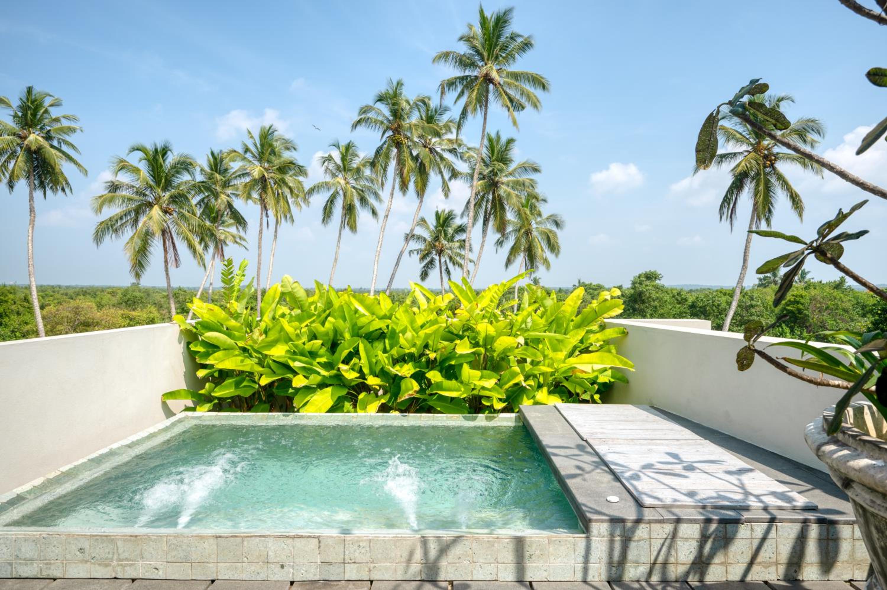 Palm View Suite with Jacuzzi photo 3