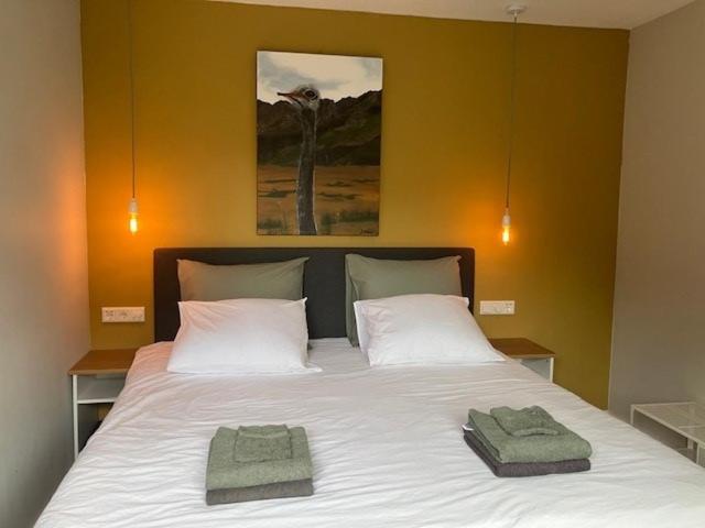 Deluxe King Room photo 1