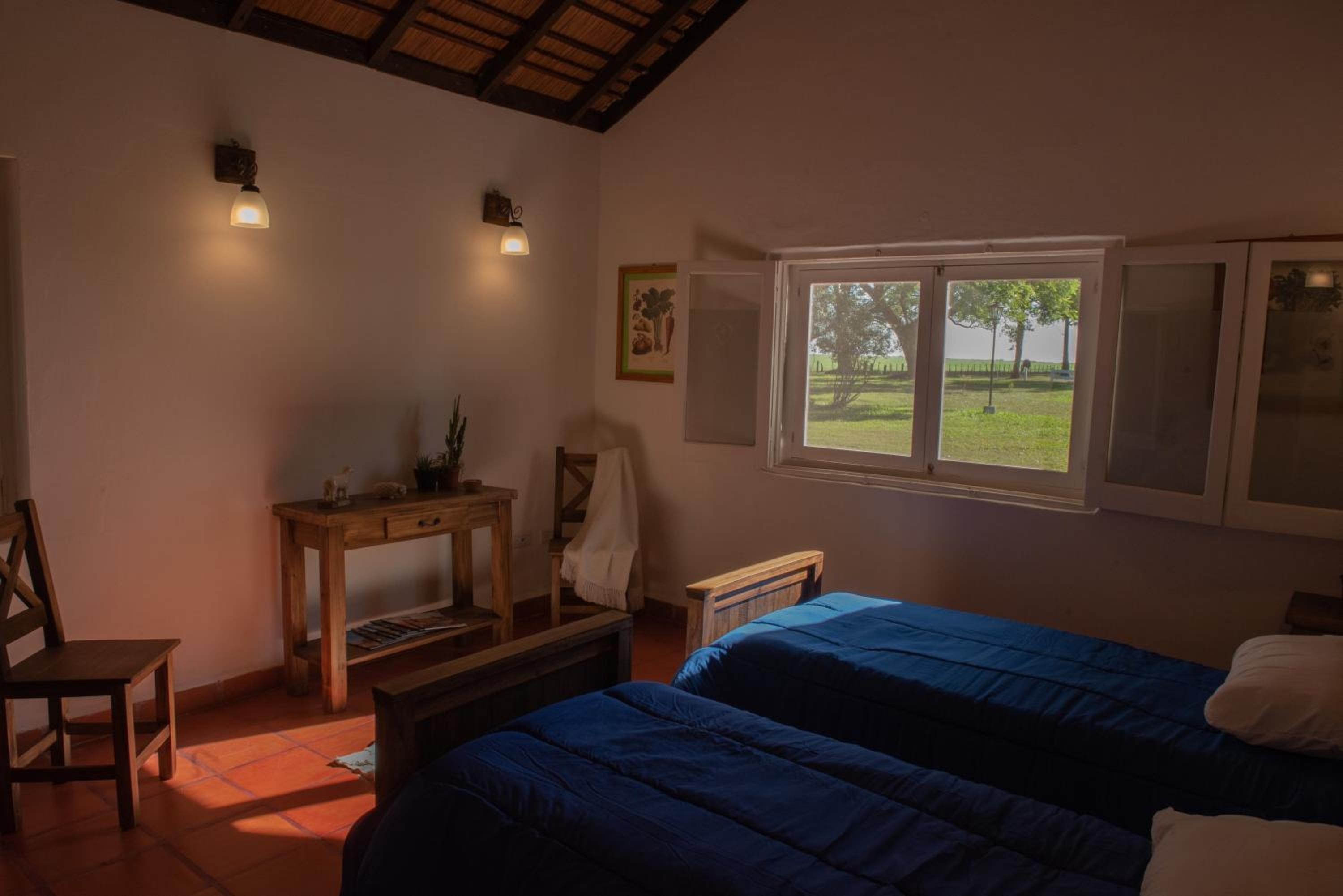 Double or Twin Room photo 1