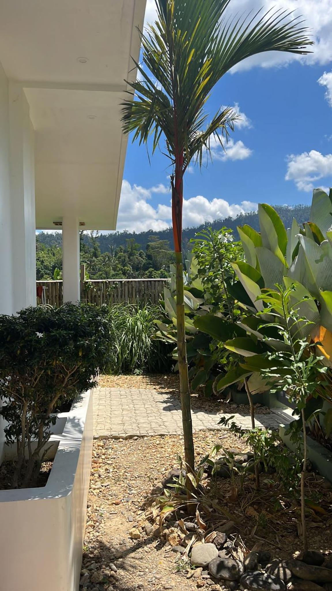 Deluxe Villa - Photo 9