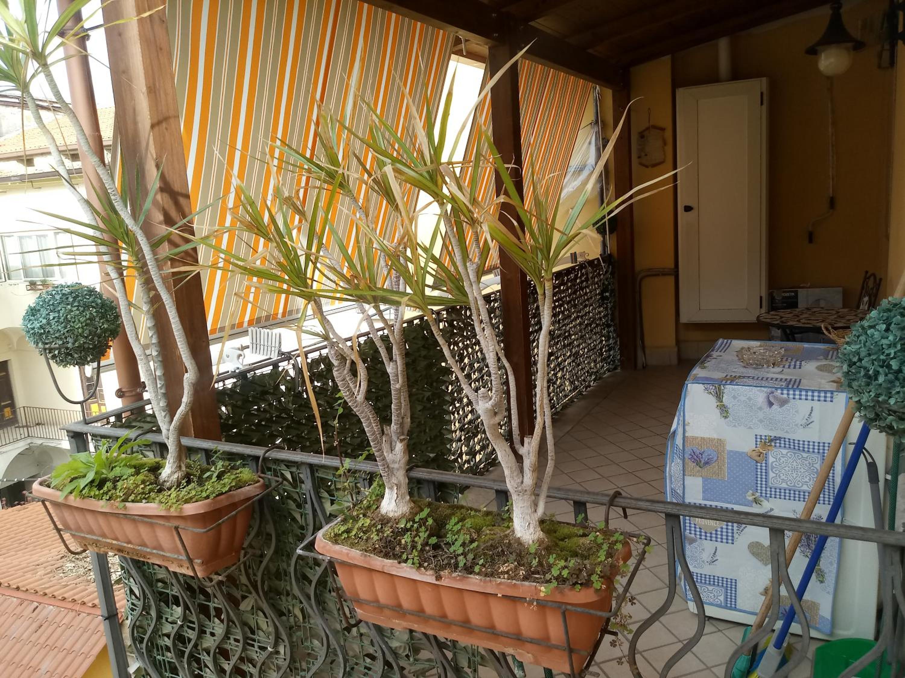 Apartment - Photo 37