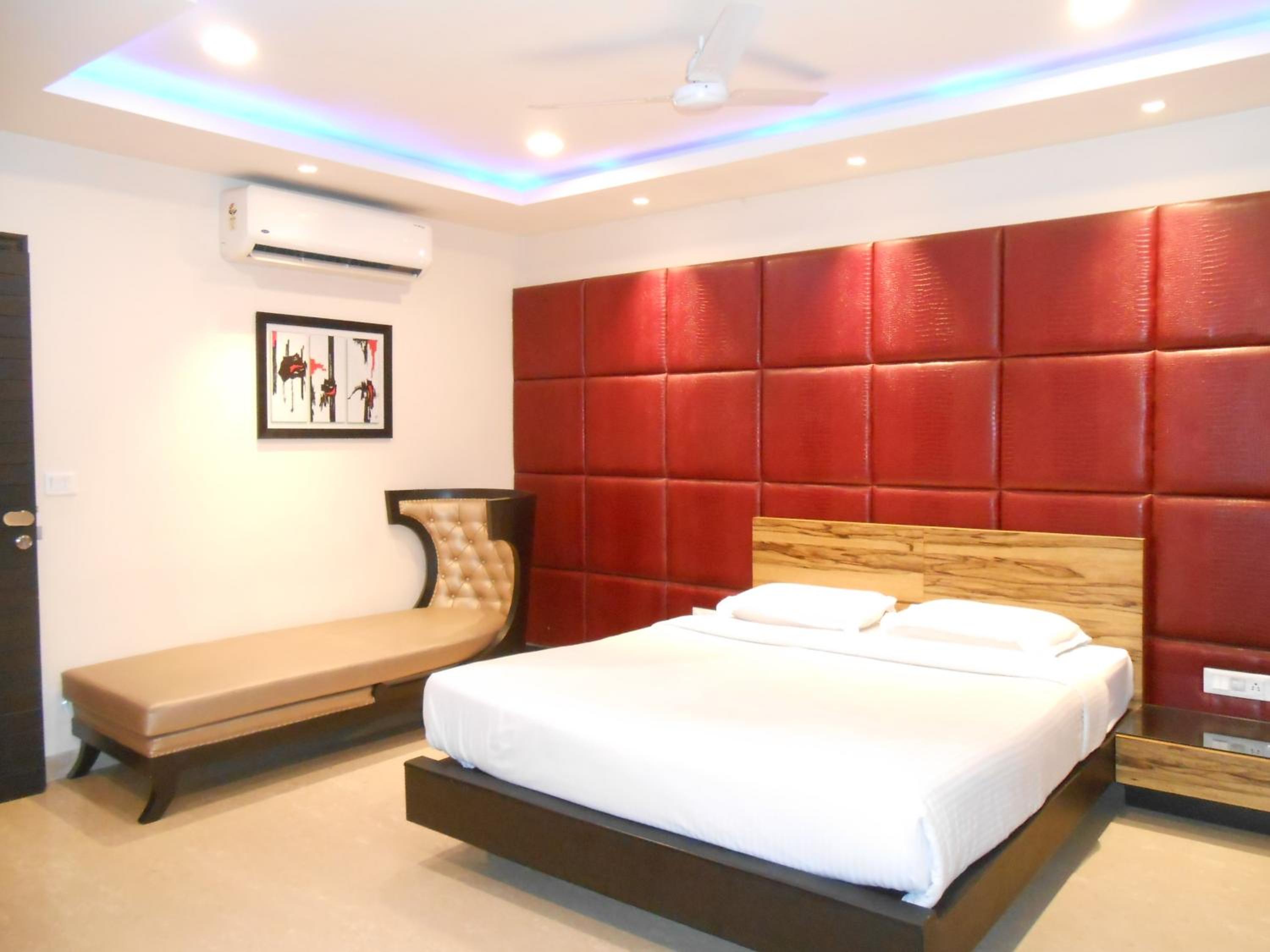 Suite - Photo 1