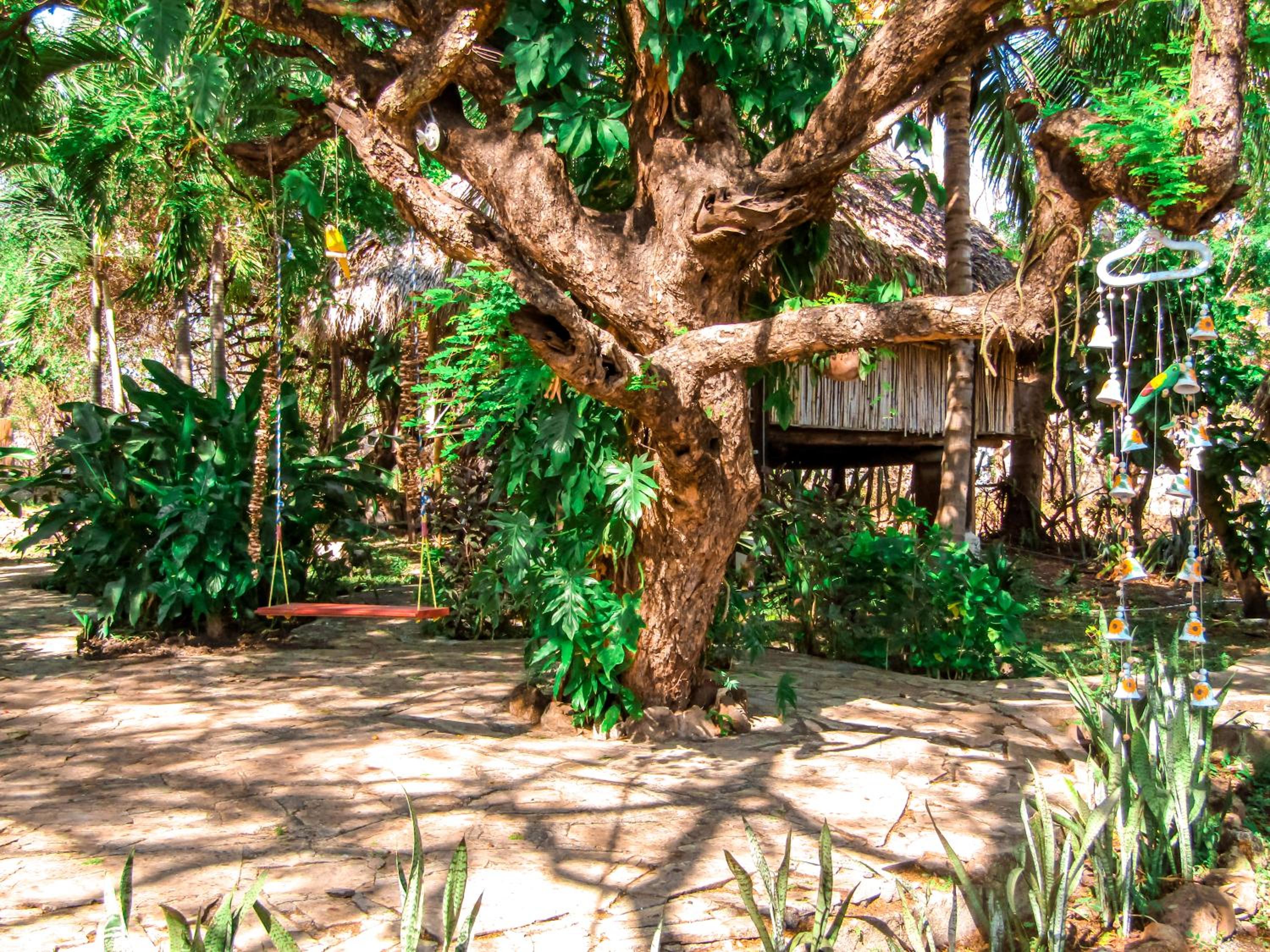 Bungalow with Garden View photo 2