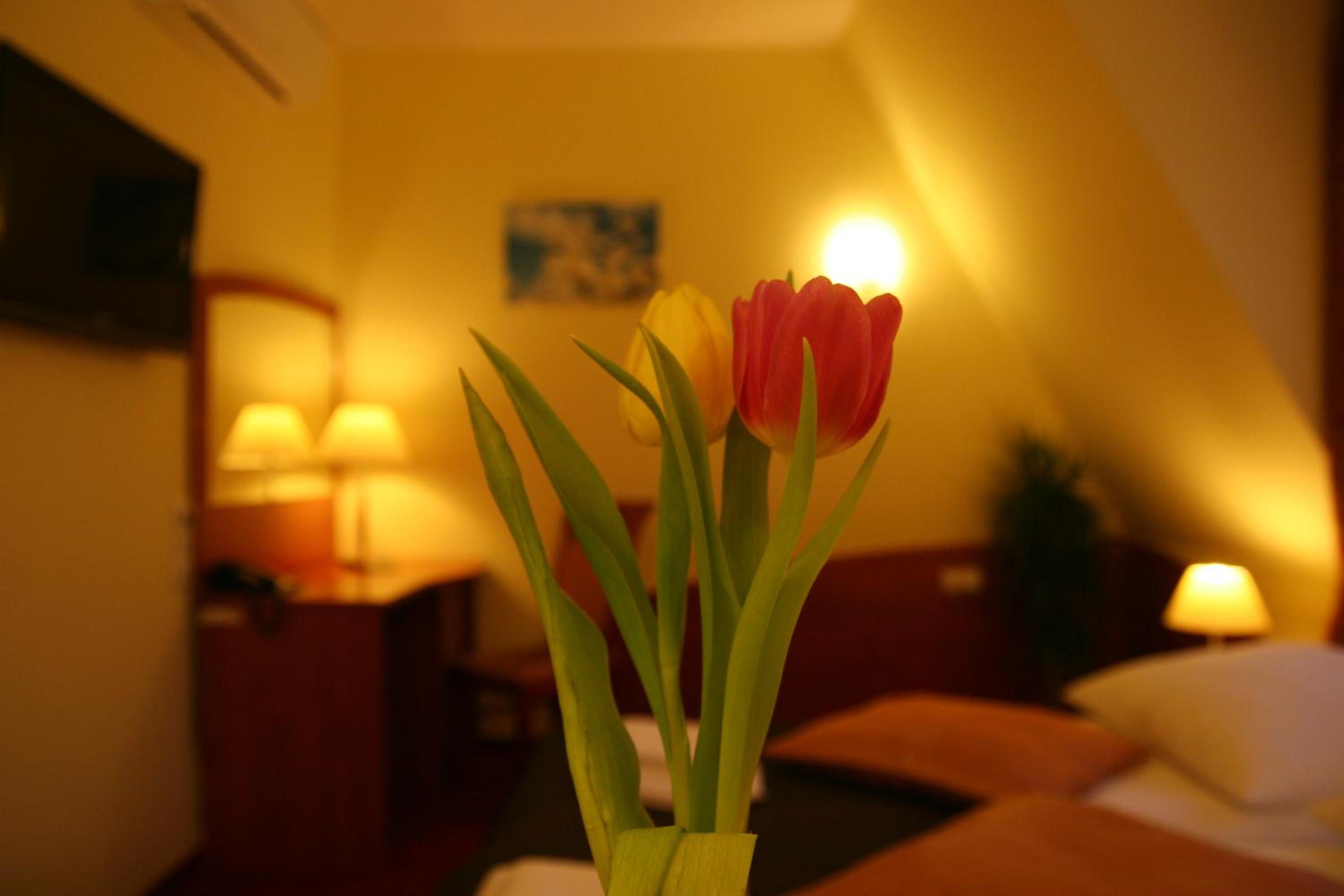 Standard Twin Room - Photo 11