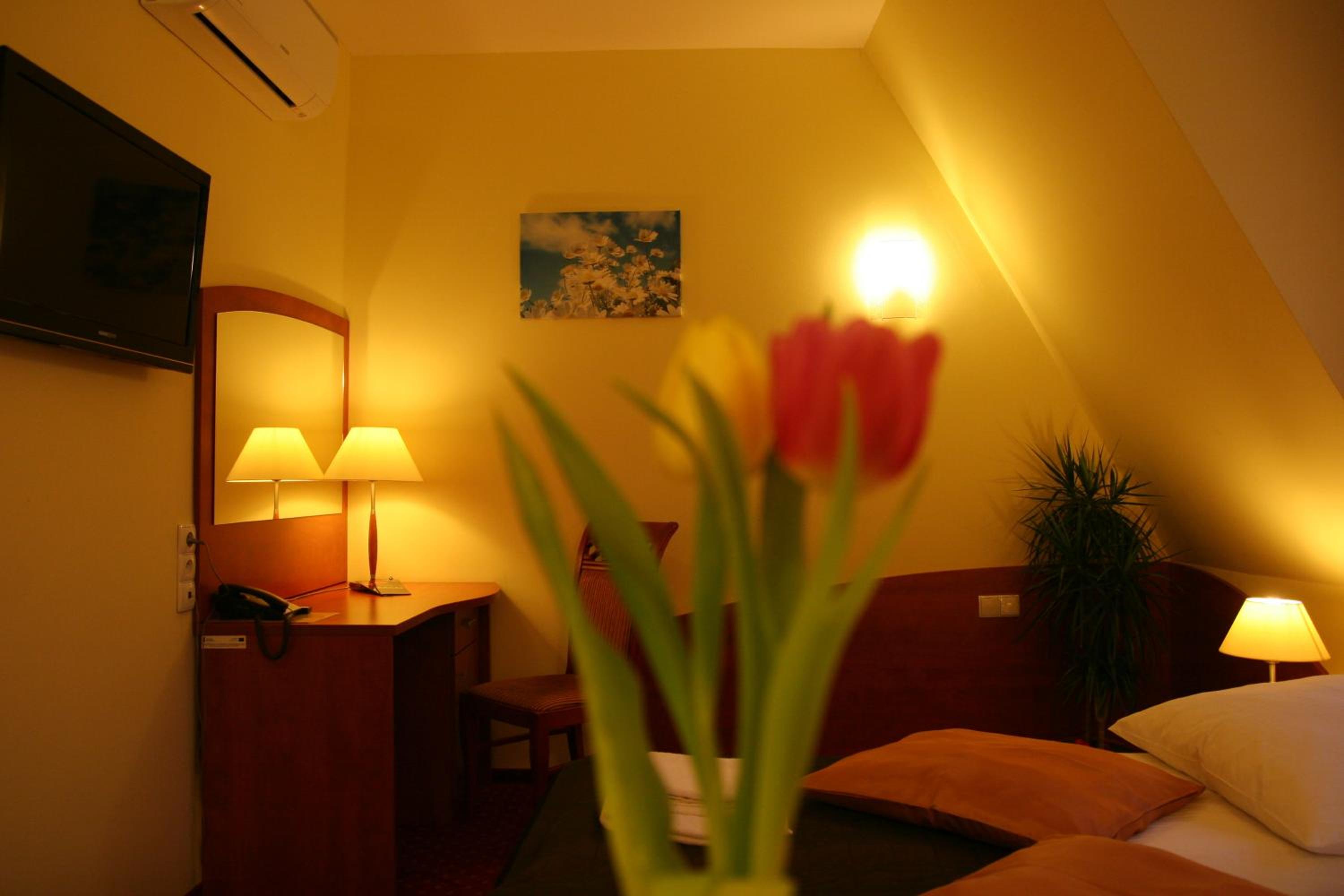 Standard Twin Room - Photo 10
