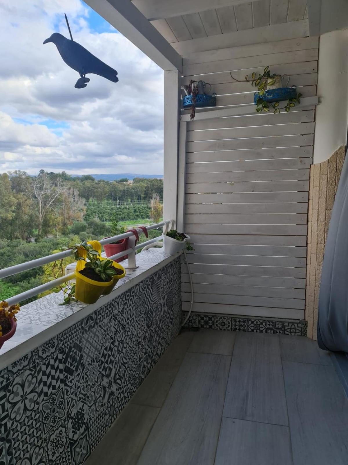 Apartment with Balcony photo 3