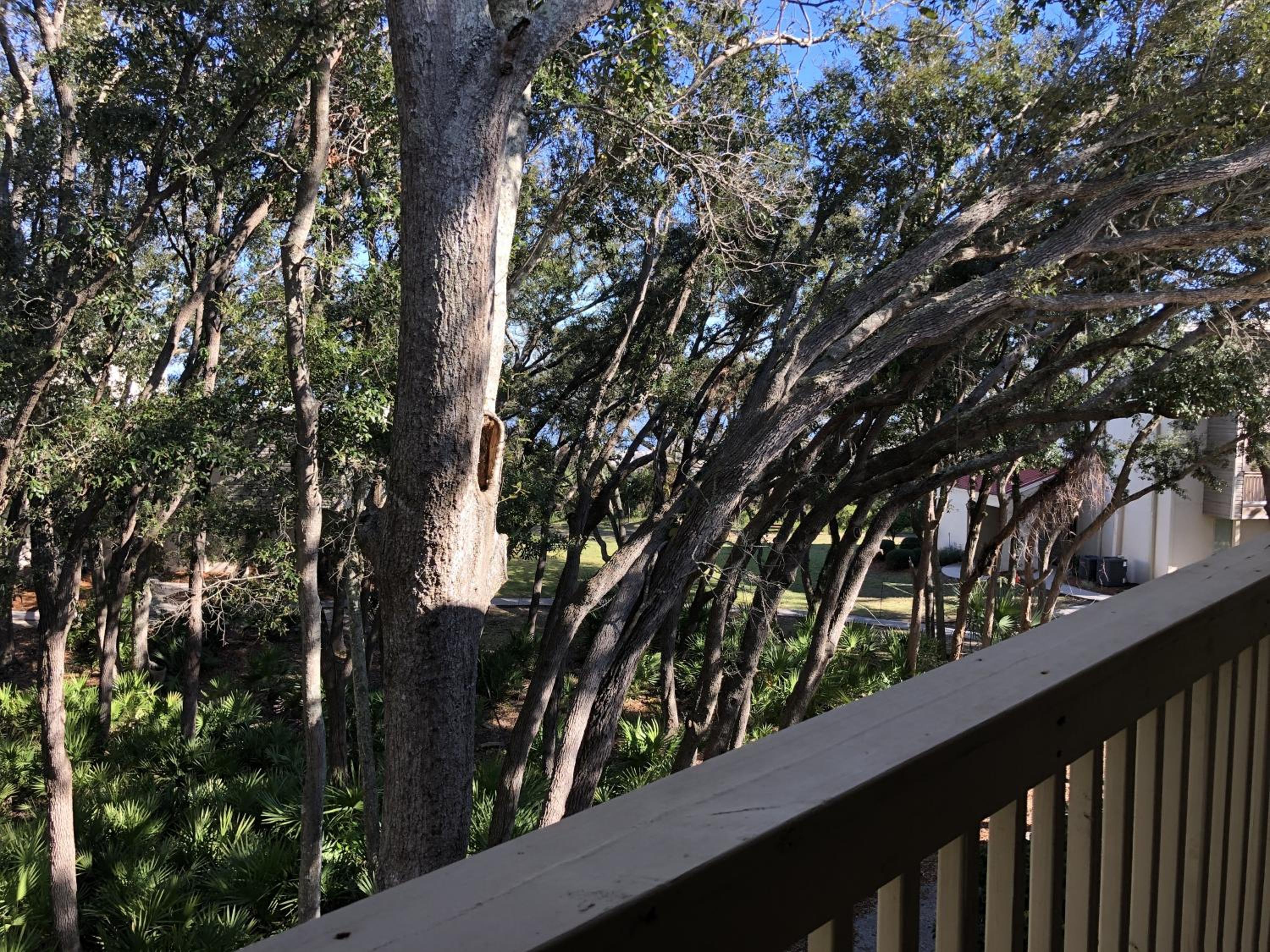 Apartment with Balcony photo 2