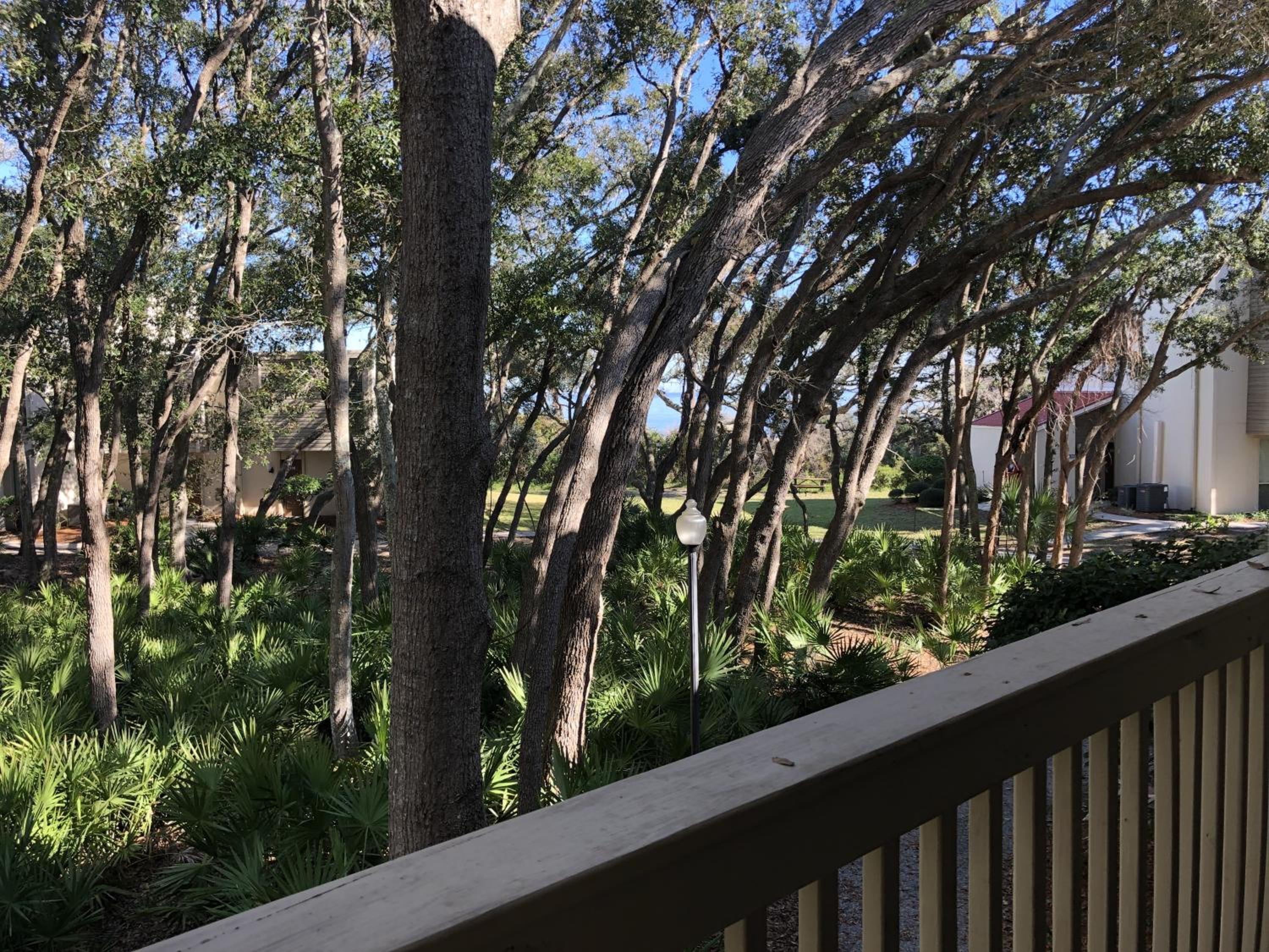 Apartment with Balcony photo 3