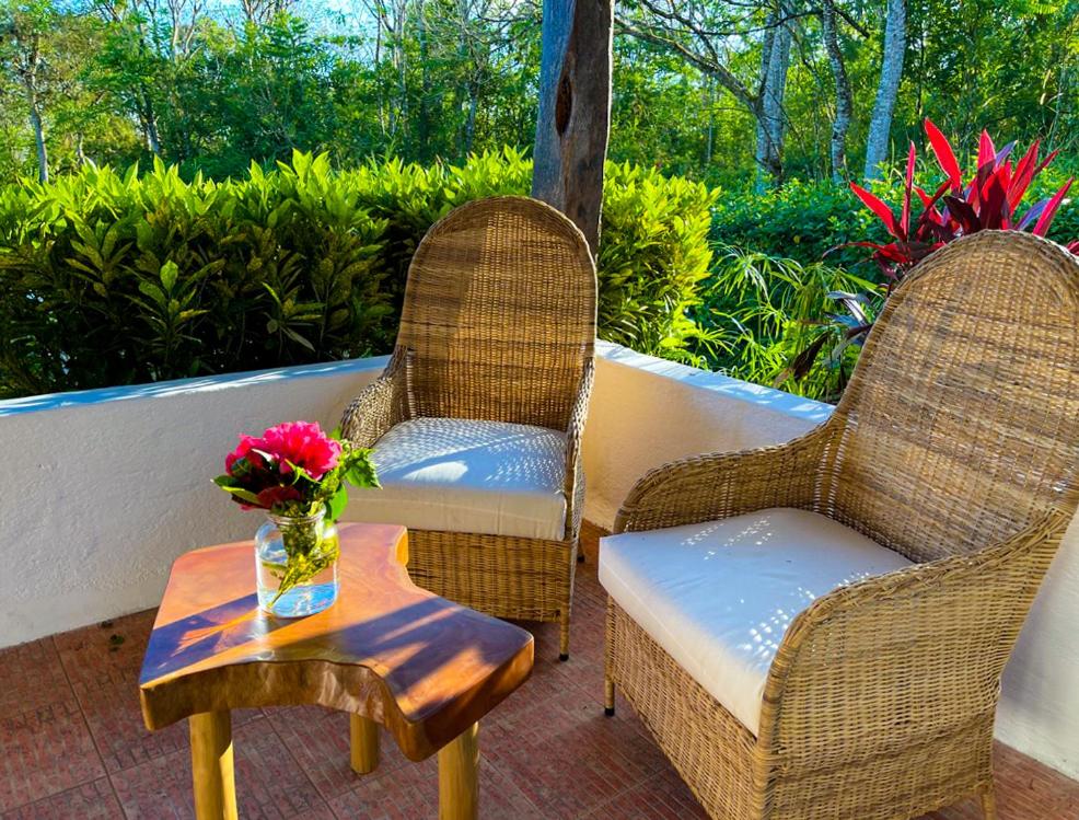 Deluxe Double or Twin Room with Garden View photo 3