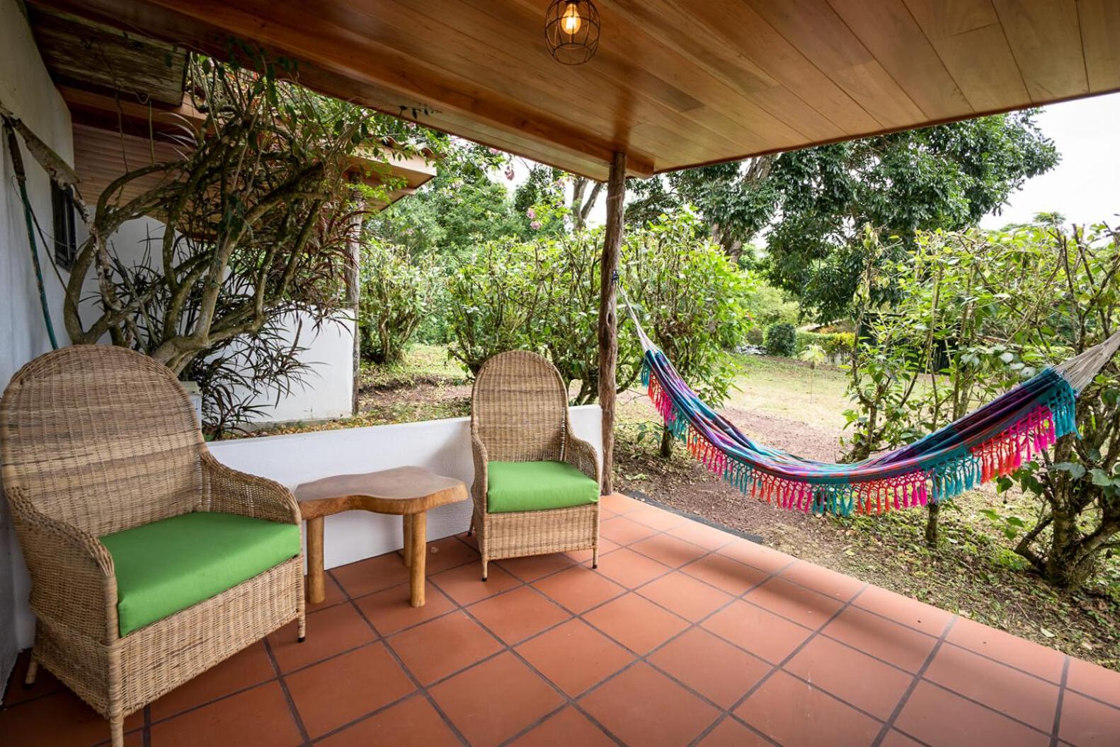 King Room with Garden View photo 3