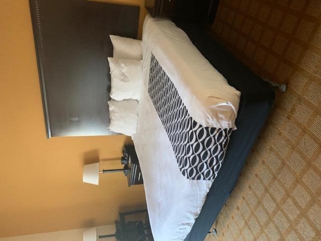 Deluxe King Room photo 3