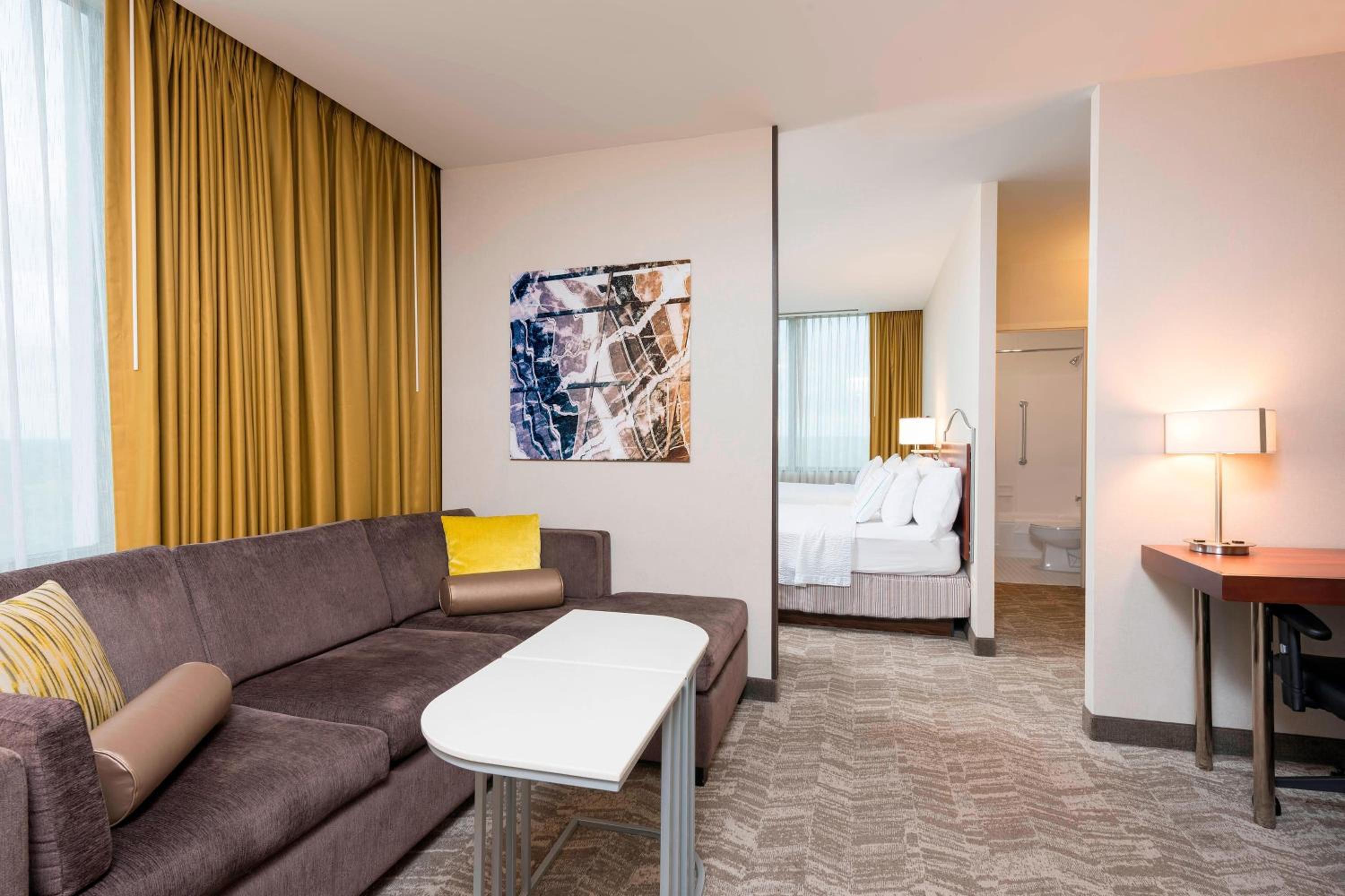 Larger Suite, 1 King, Sofa Bed  - Photo 3