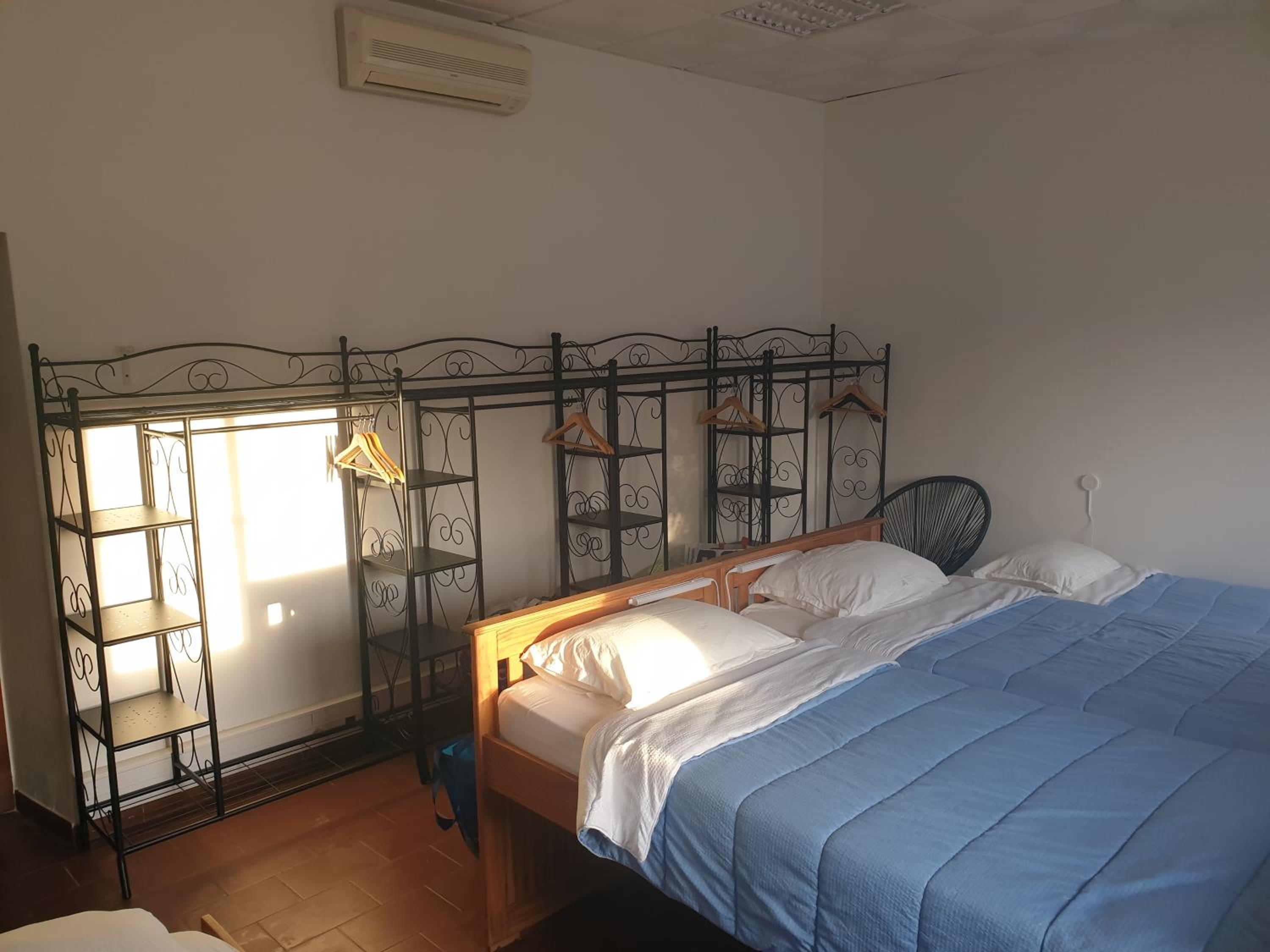 Single Bed in 4-Bed Dormitory Room