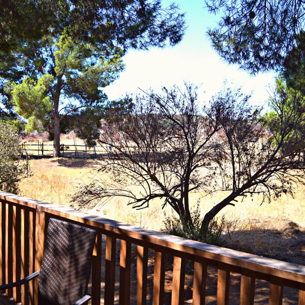 King Suite with Balcony photo 2