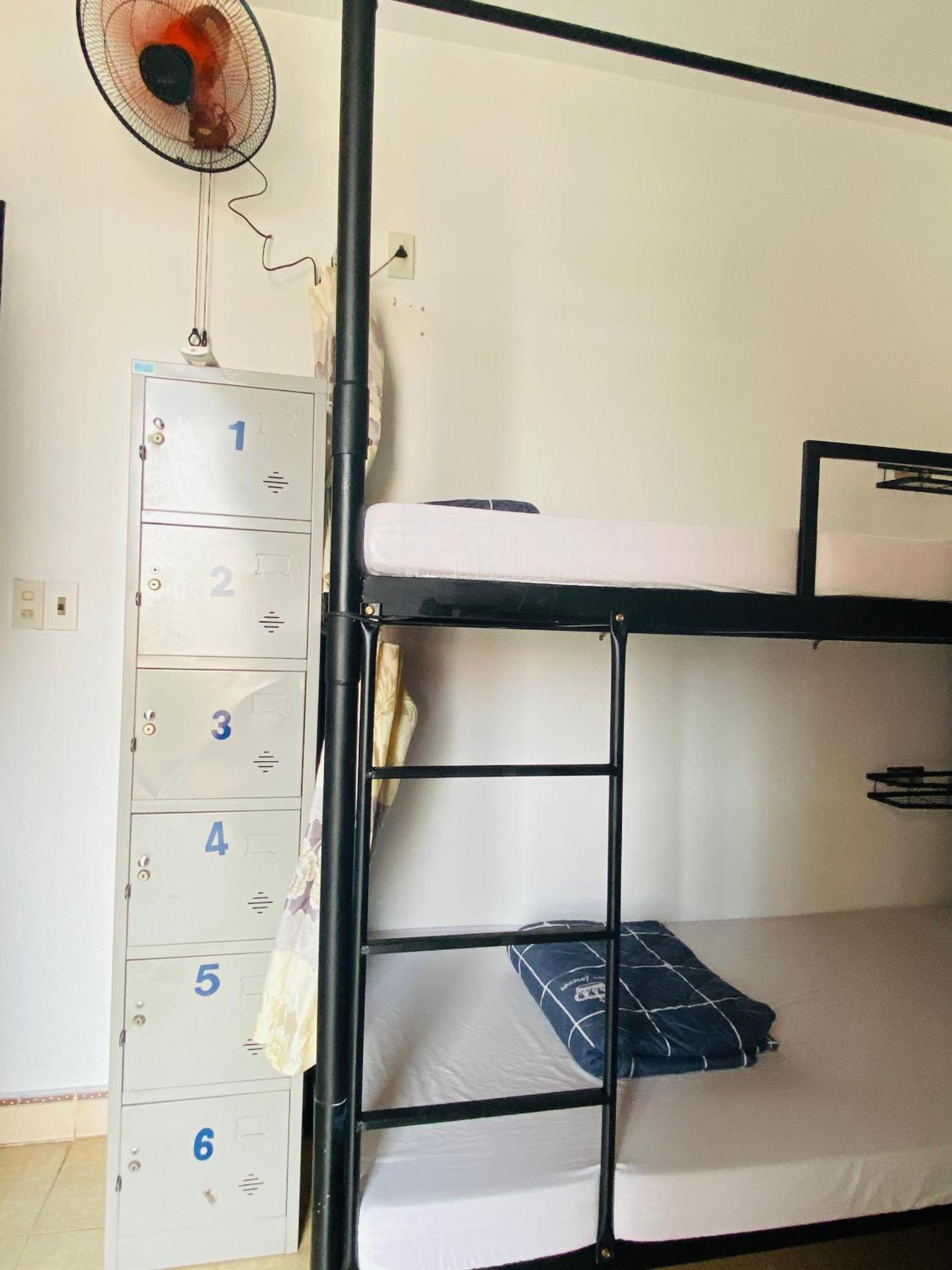 Bed in 6-Bed Dormitory Room