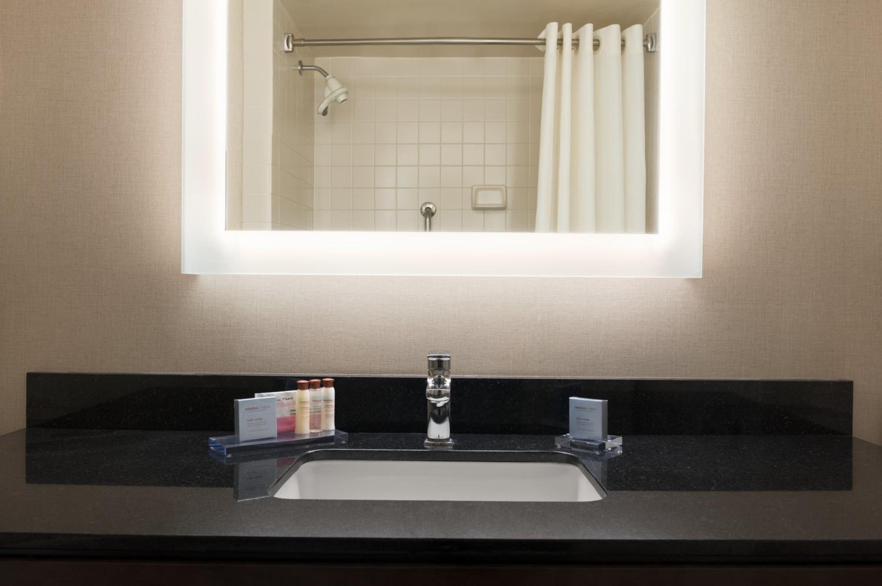 Deluxe King Suite - Non-Smoking - Photo 5