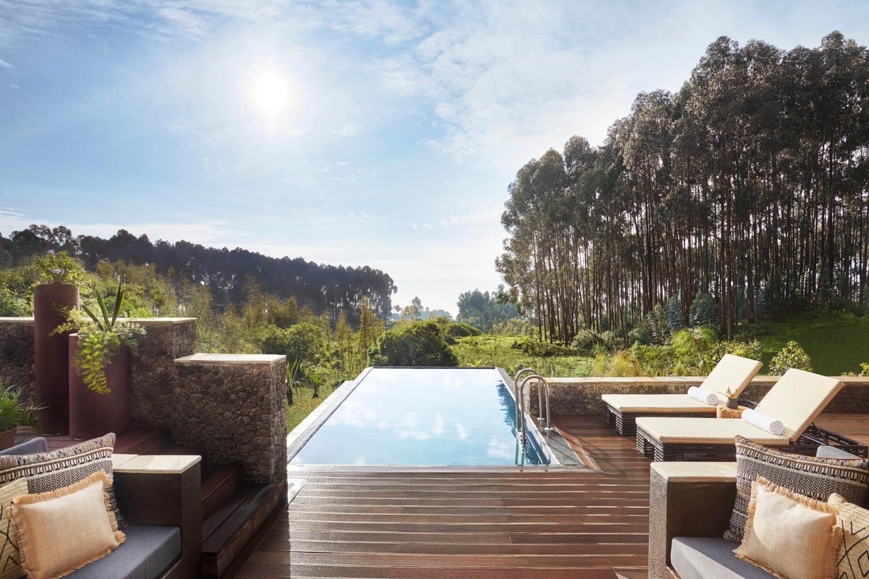 Silverback lodge photo 1