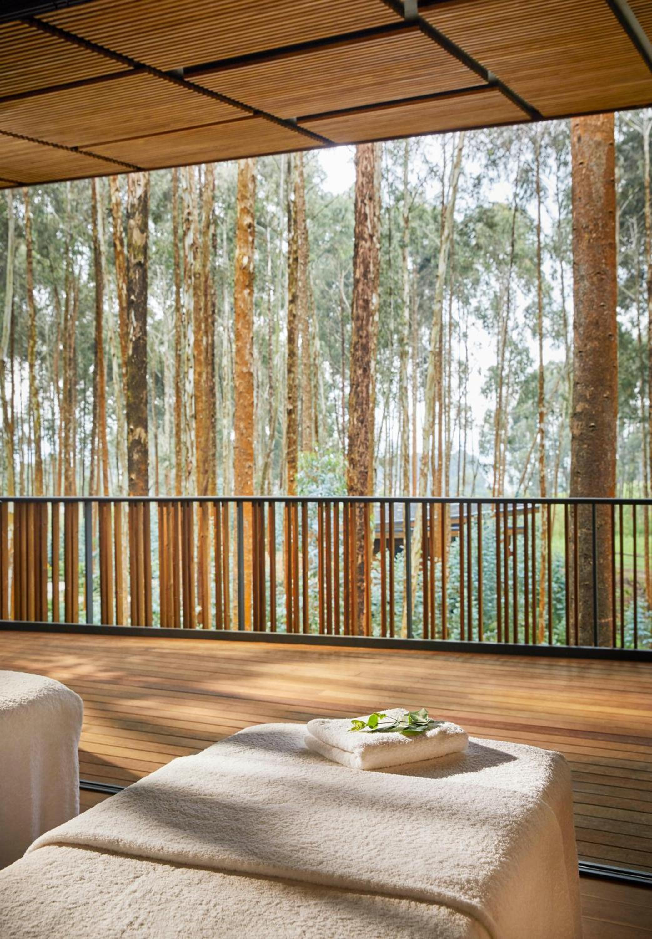 Silverback lodge photo 2
