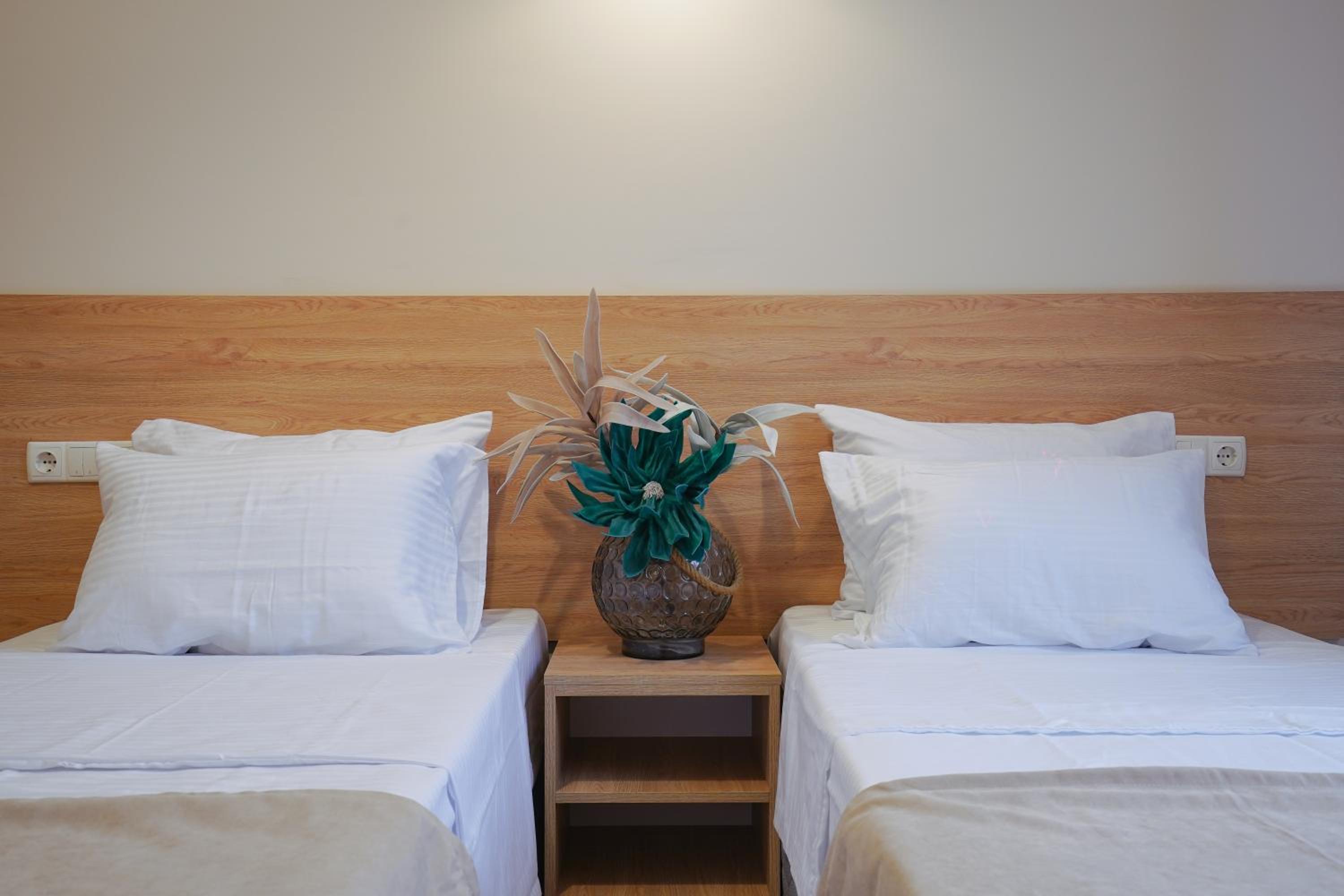 Twin Room with Mountain View photo 2