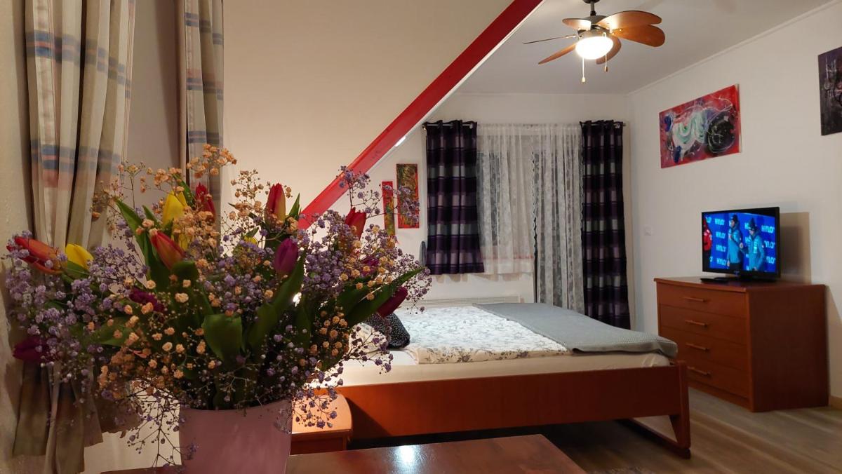 Double Room with Mountain View photo 1