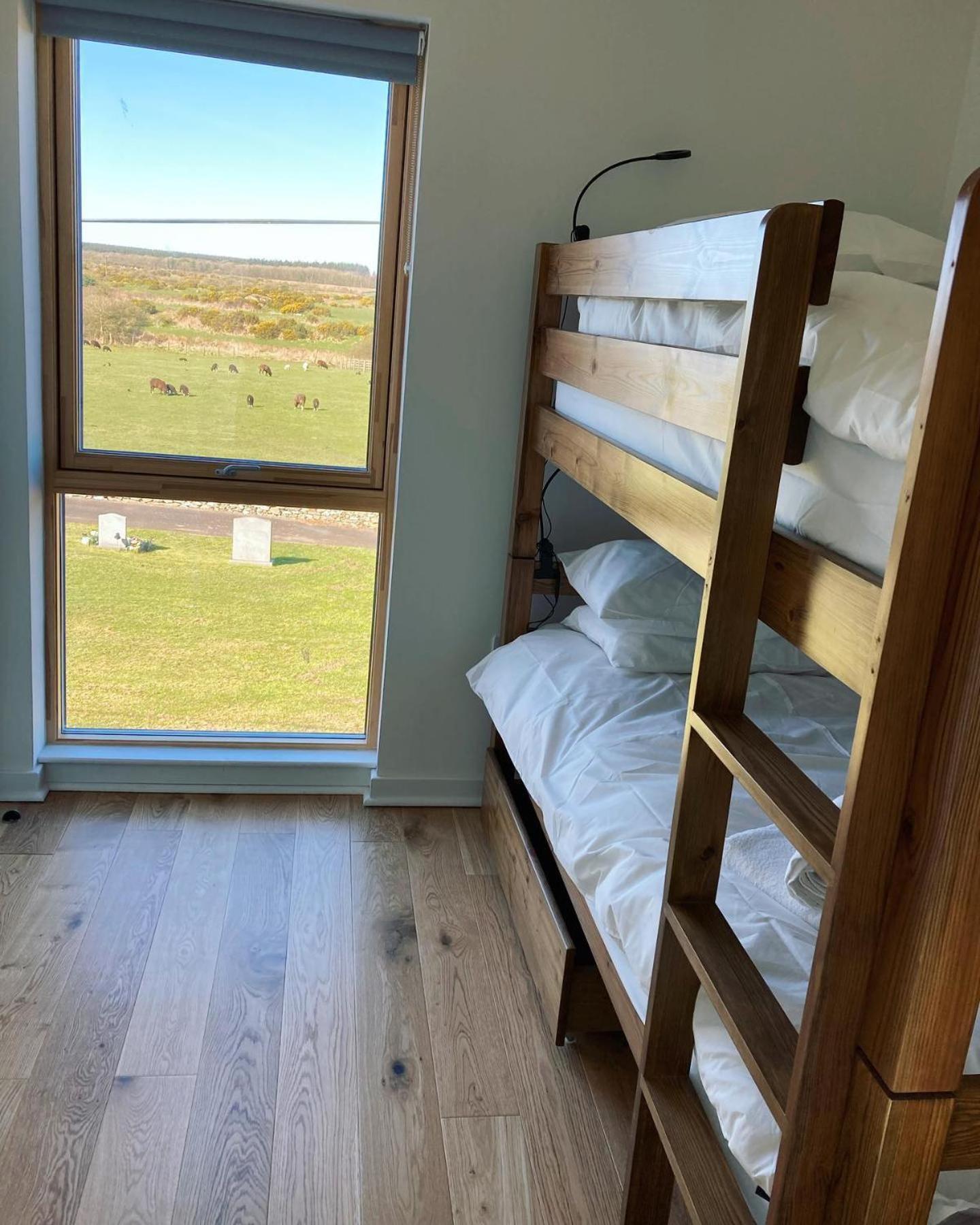 Bunk Bed in Mixed Dormitory Room photo 1