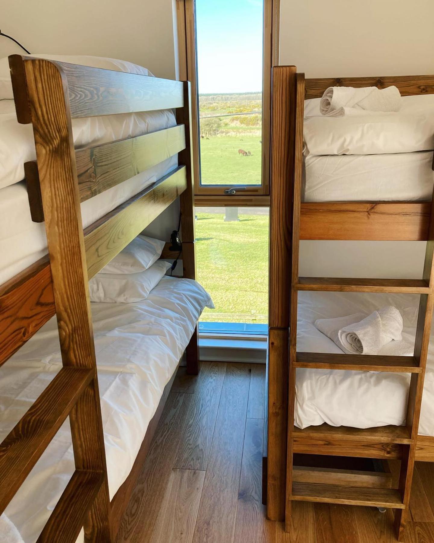 Bunk Bed in Mixed Dormitory Room photo 3