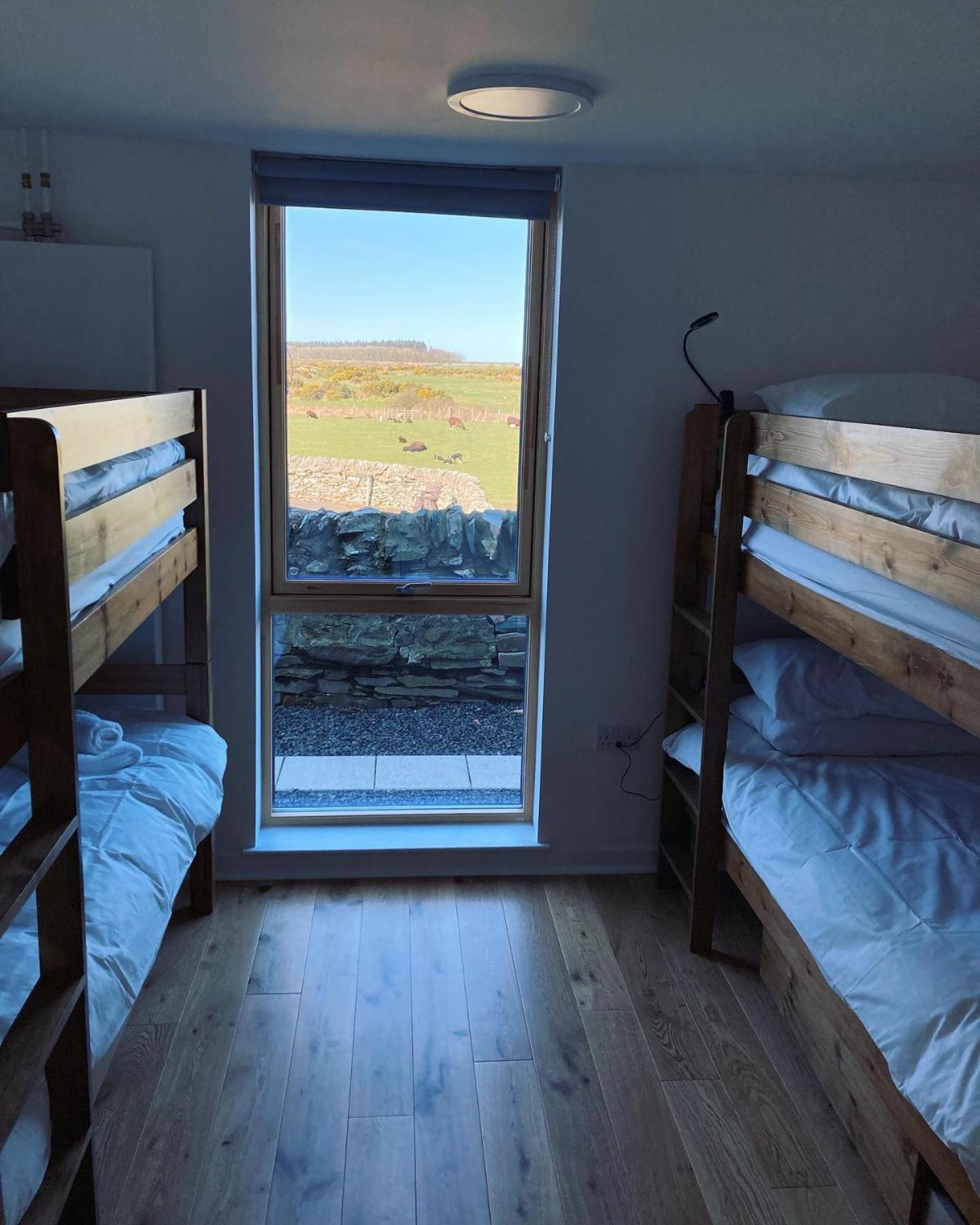 Bunk Bed in Mixed Dormitory Room photo 1