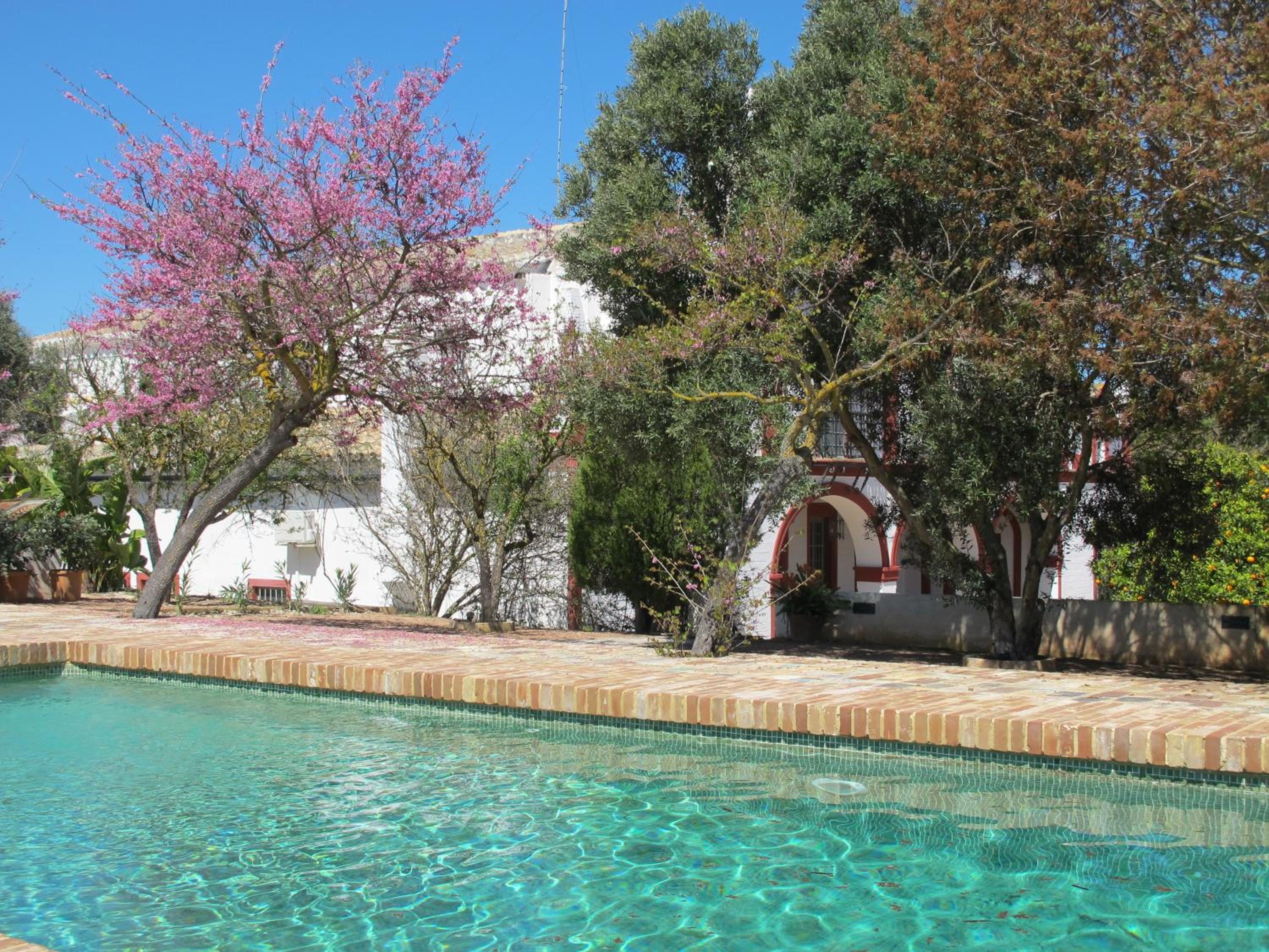 Deluxe Villa photo 3